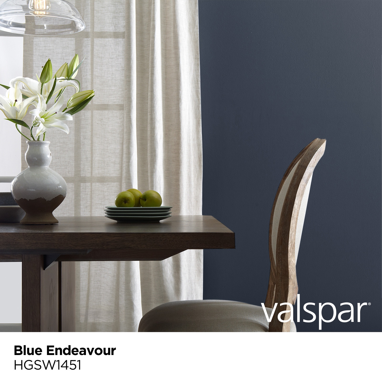 blue endeavor paint