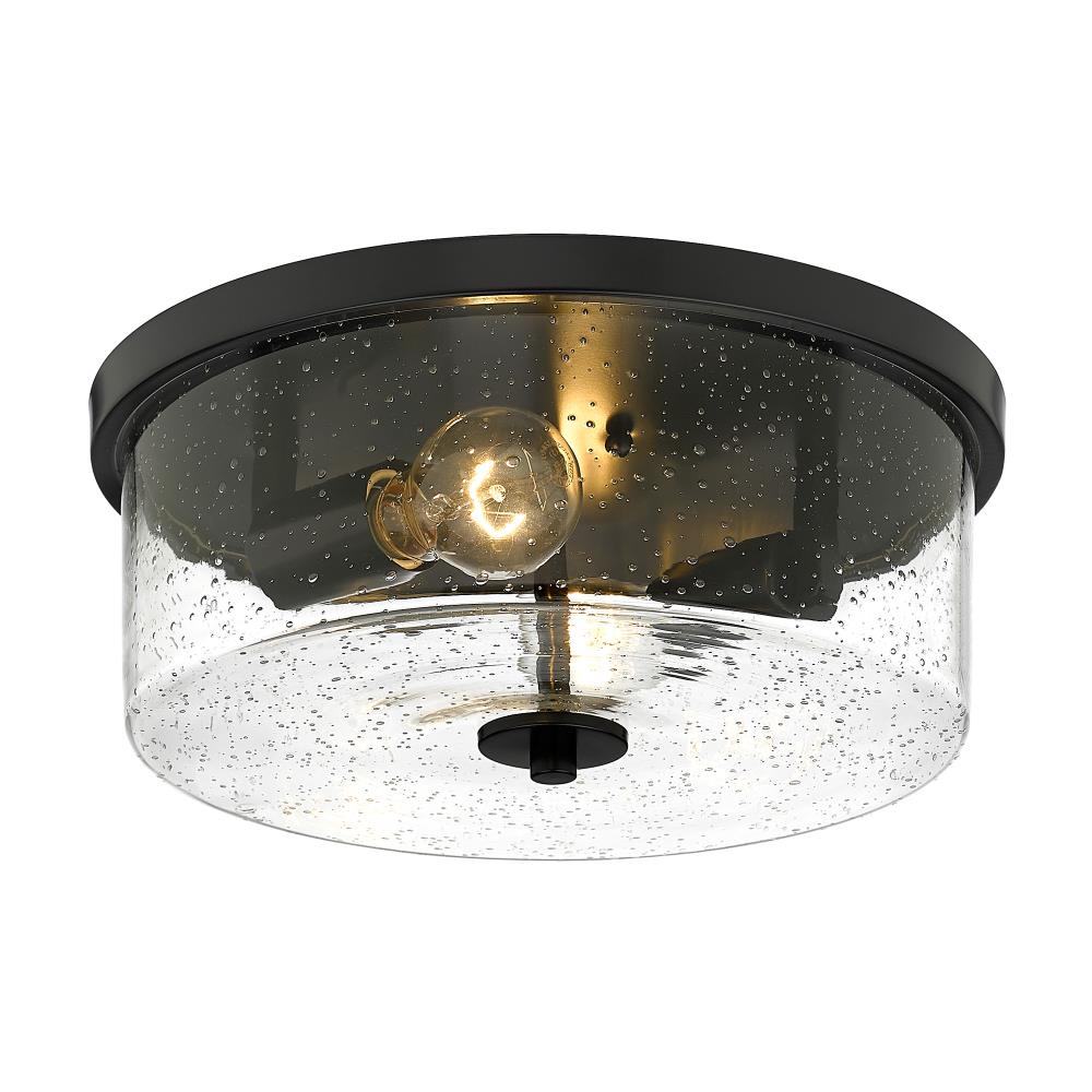 Golden Lighting Rayne 2-Light Matte Black Led Flush Mount Light in the ...