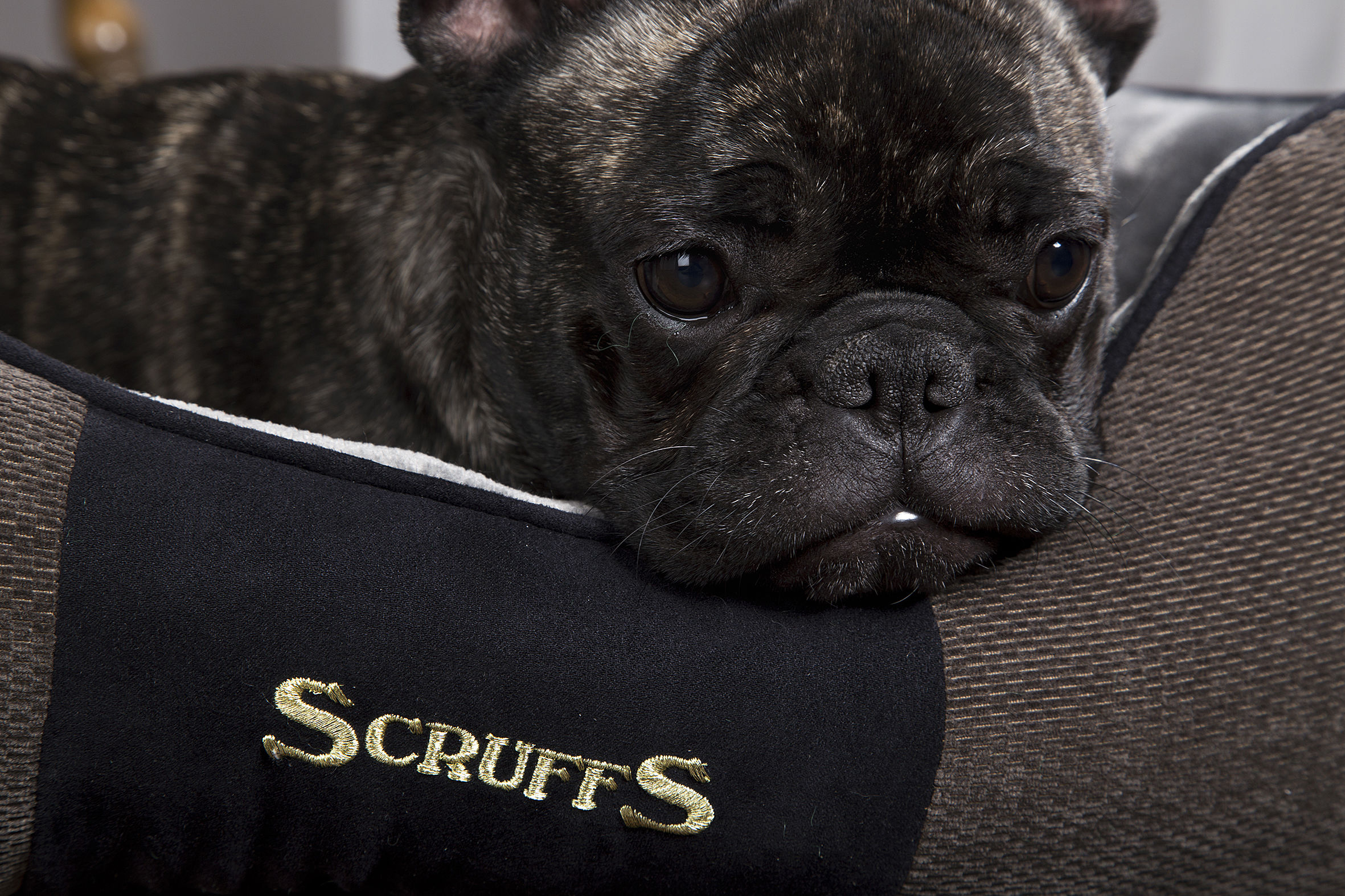 Scruffs BEDRCD931964 Pet-Beds - View #2
