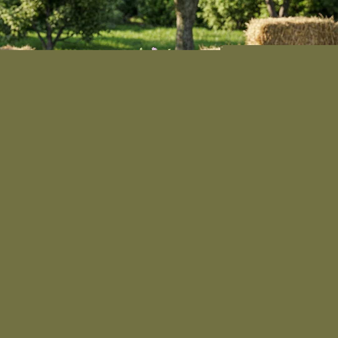 Garvee BY-260202LA55 edging - View #3