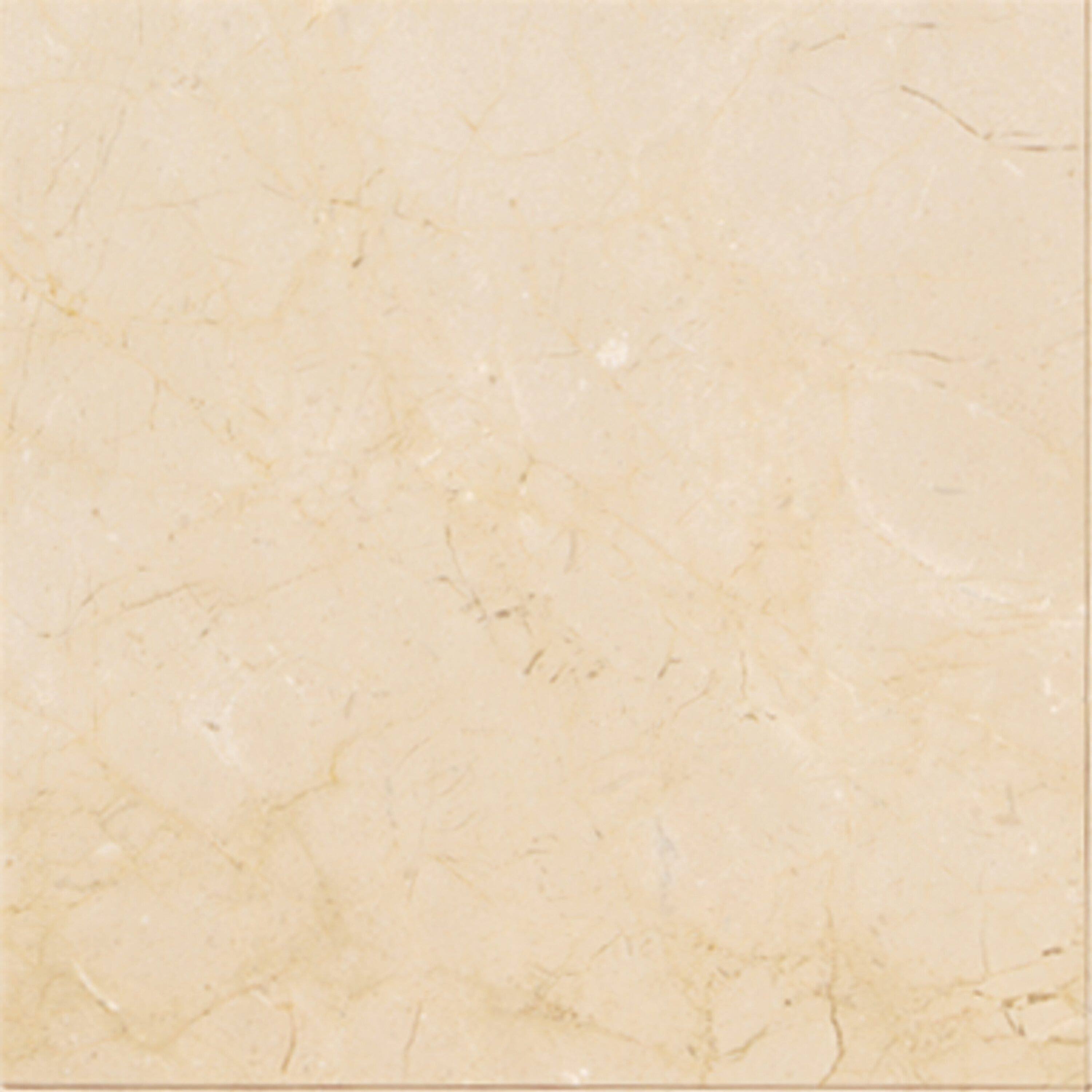 American Olean Marble Crema Marfil Elegance 12-in x 12-in Polished ...