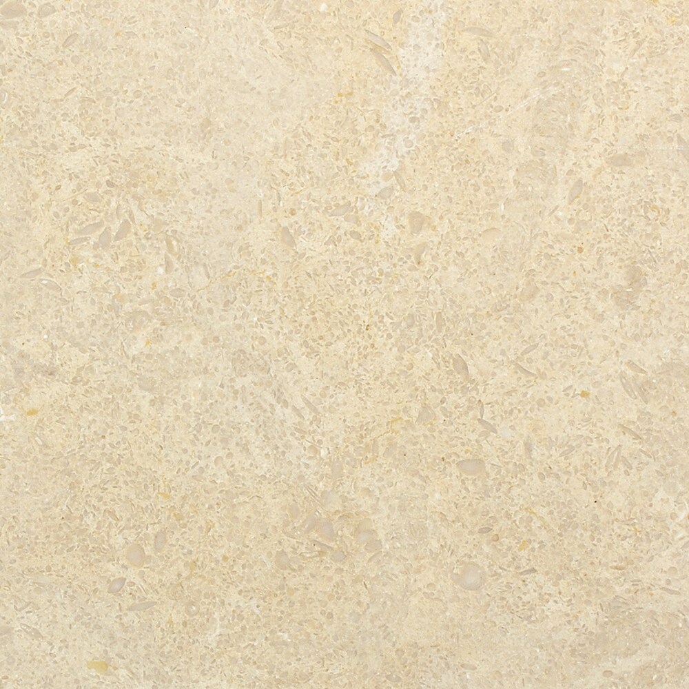 Marble Systems TL11935 Natural Stone Seashell 4-in x 4-in Honed Natural Stone Marble Scale Floor and Wall Tile (33.3-sq. ft/ Carton)