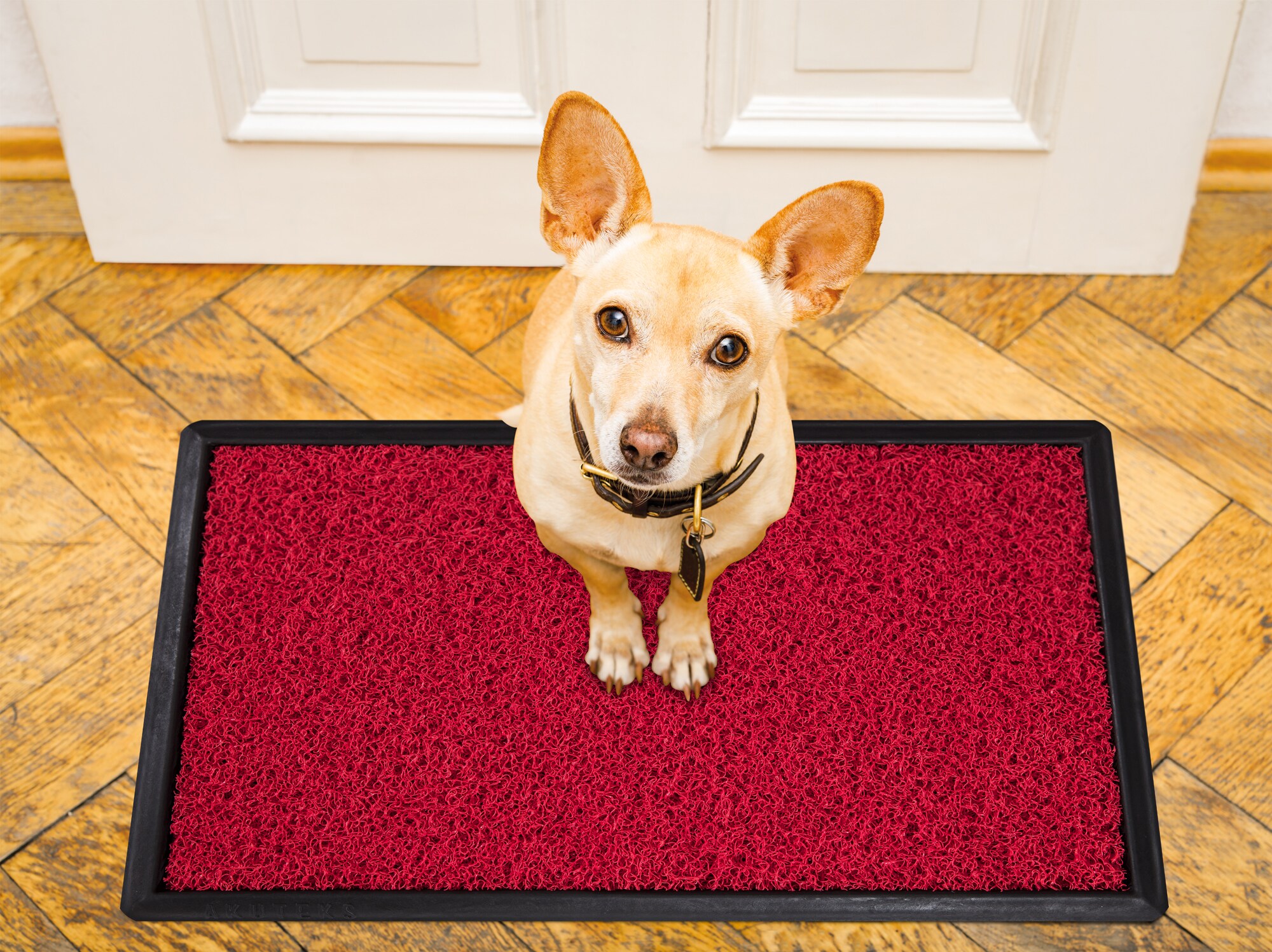 Ottomanson RT100-18X28 Mats-Cat - View #4