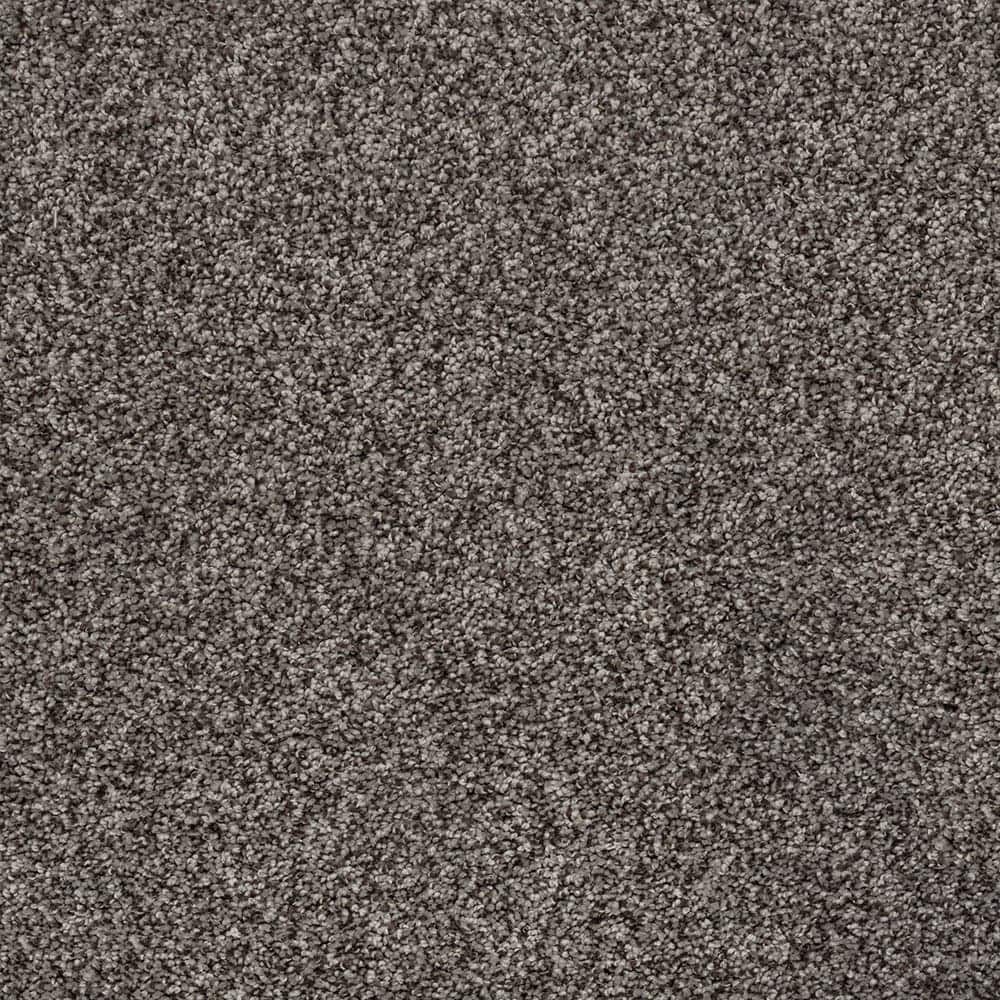 STAINMASTER SS004-L010-0808 (Sample) Comfort Walk III Ancient Ruins Gray 70-oz sq yard Polyester Textured Indoor Carpet