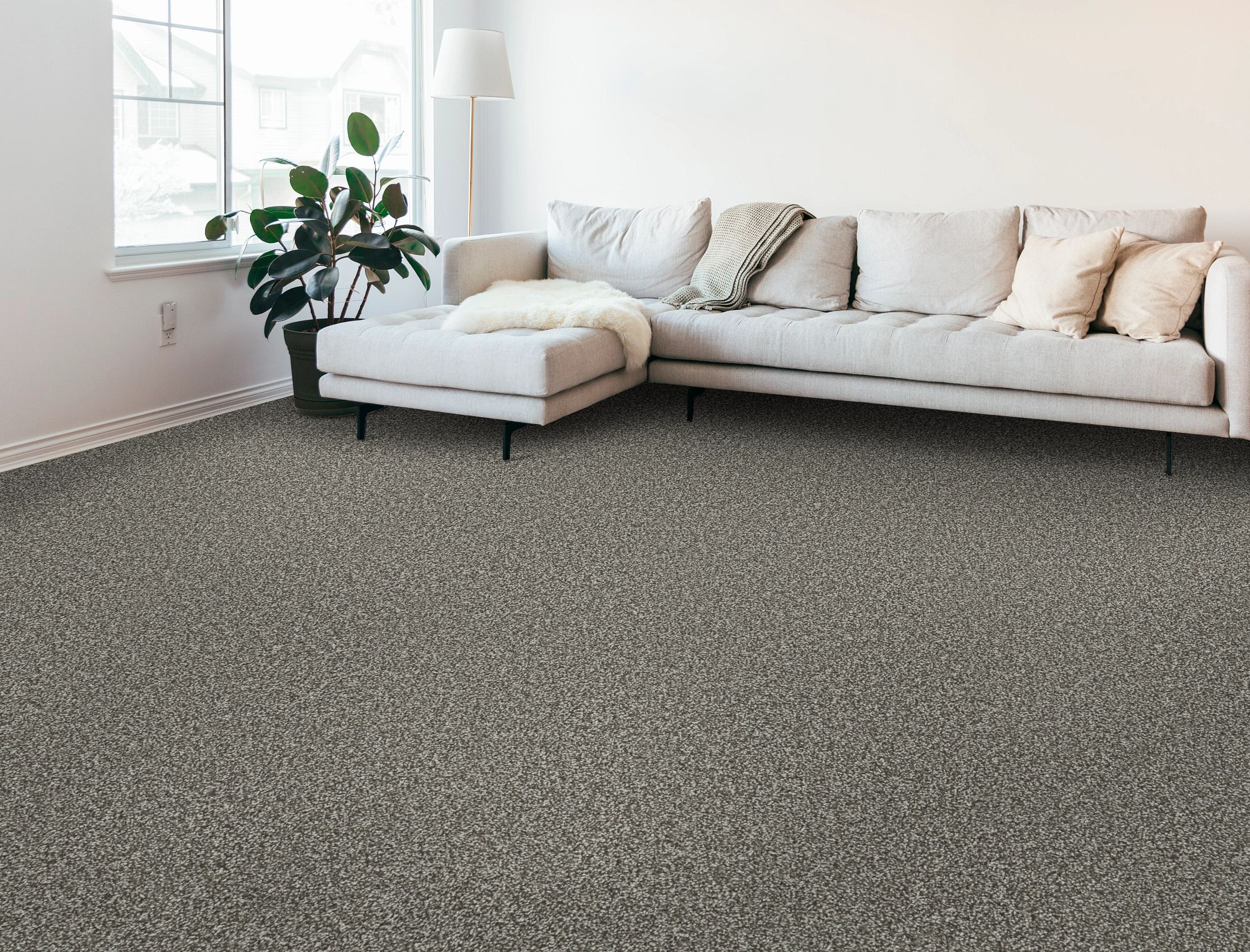 Best Carpet for Pets: Pet-Friendly Carpet Options