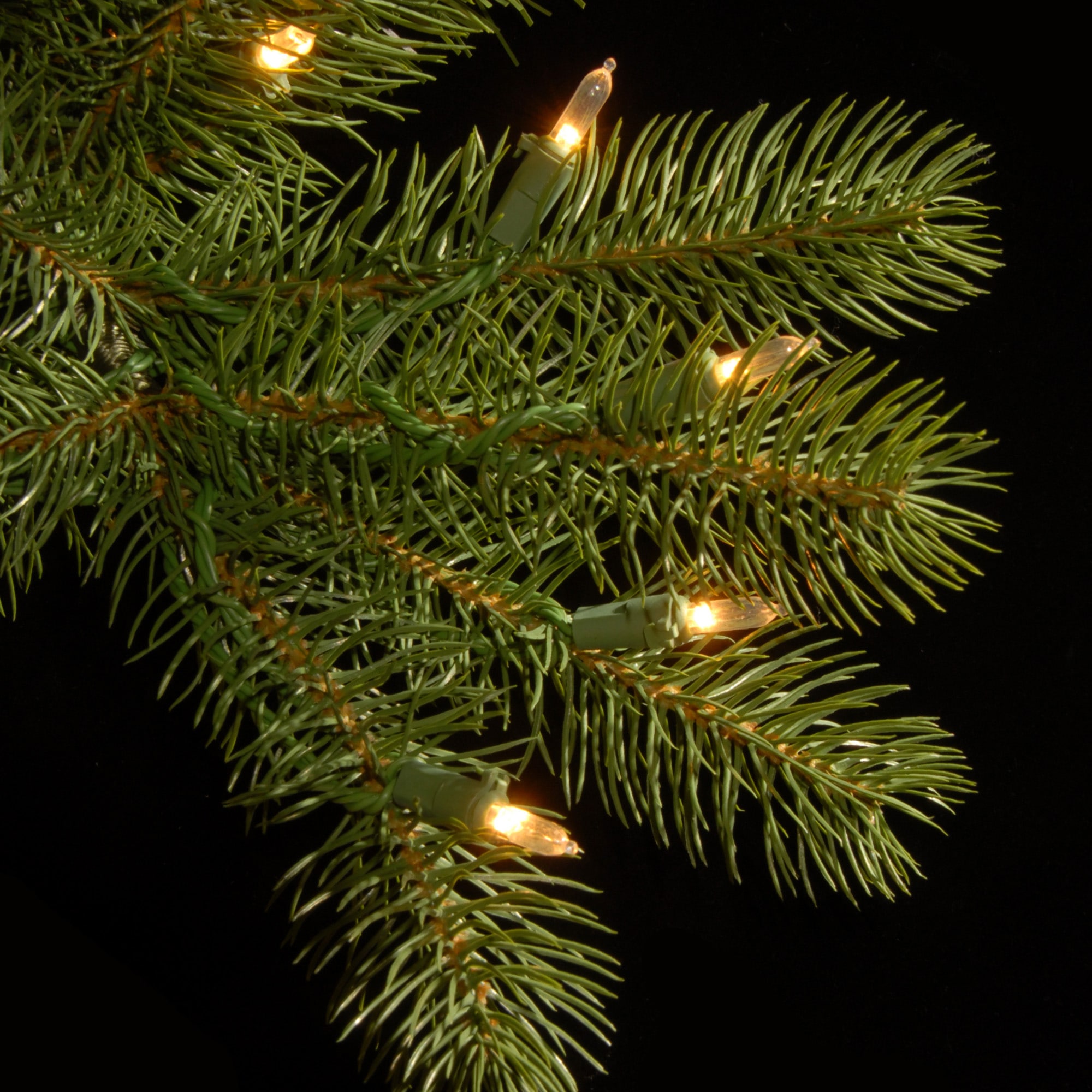 National Tree Company 6.5 ft. Downswept Douglas Pencil Slim Fir Tree with Dual Color LED Lights