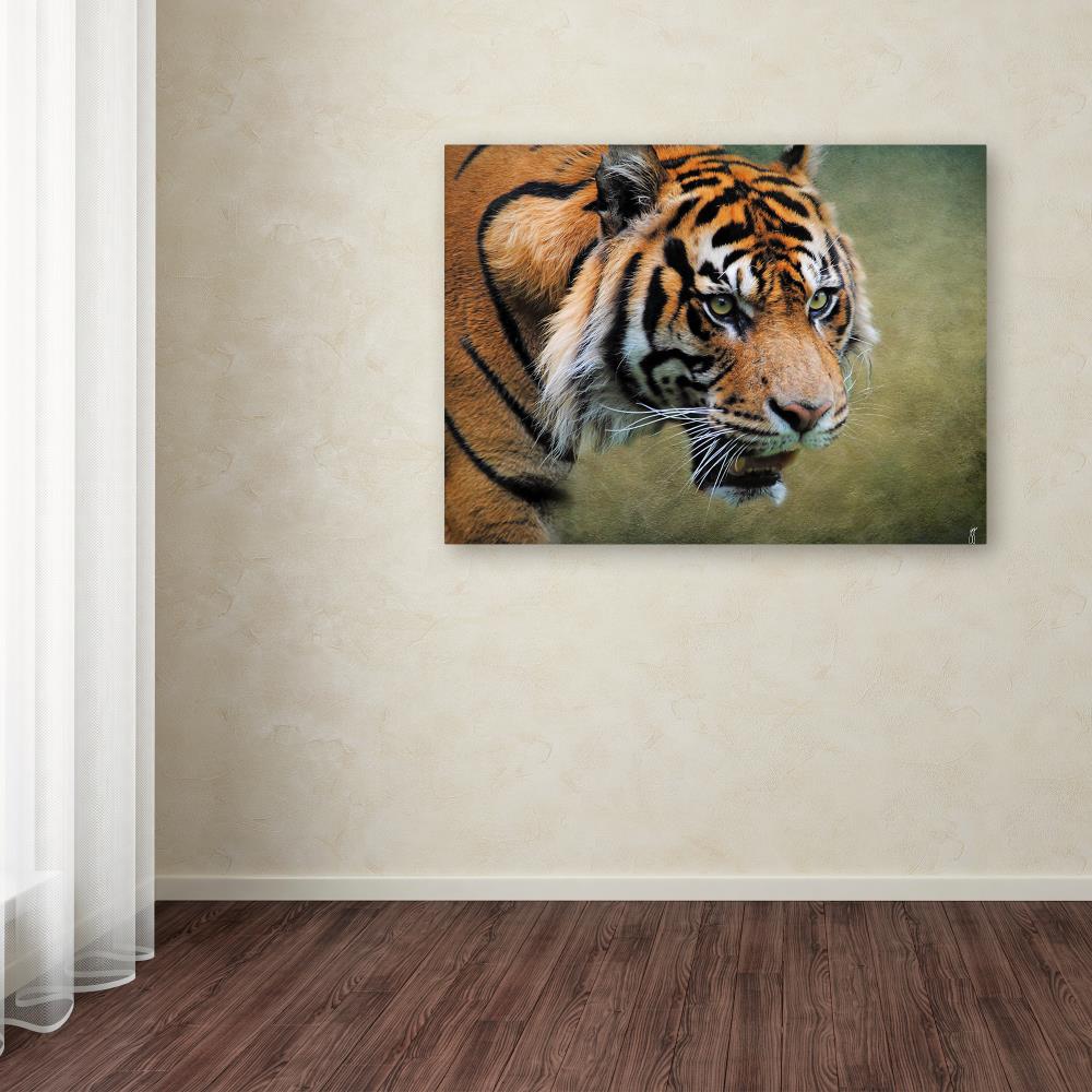 Trademark Fine Art Animals Framed 35-in H x 47-in W Animals Print on ...