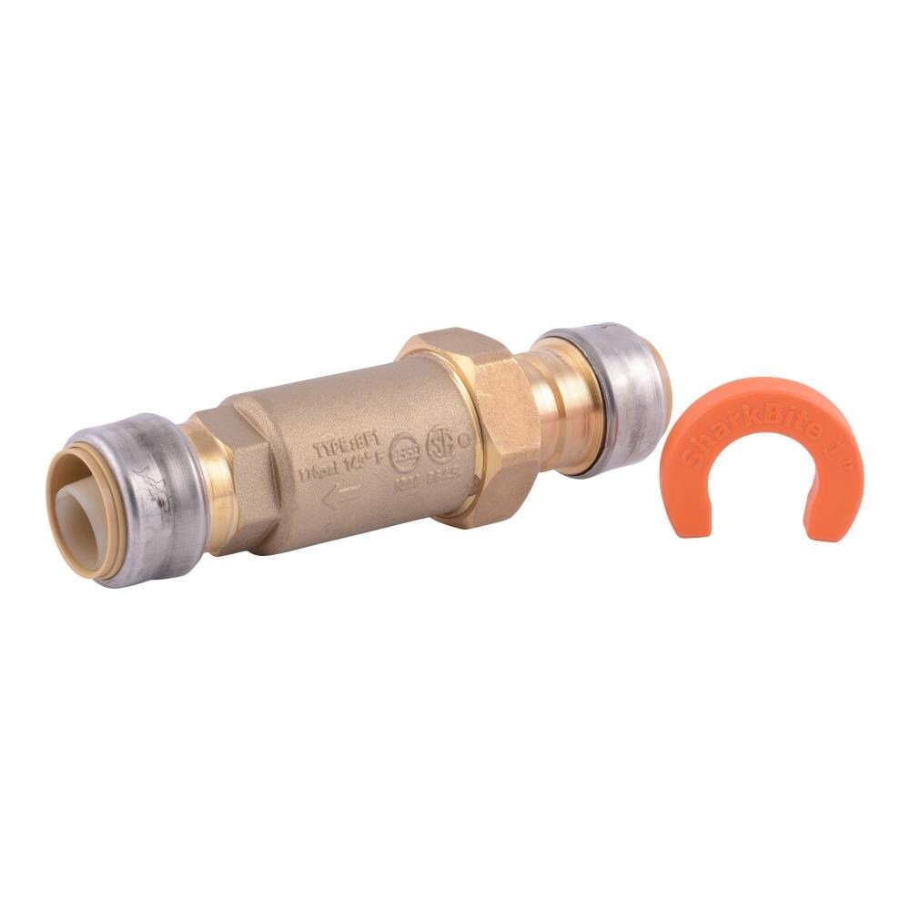 Double Check Valve  Briscoe Protective