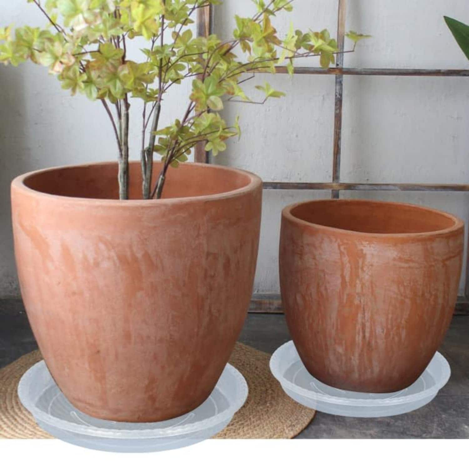 Angel Sar L2ZQYA430SAU02 Plant-Saucers - View #4