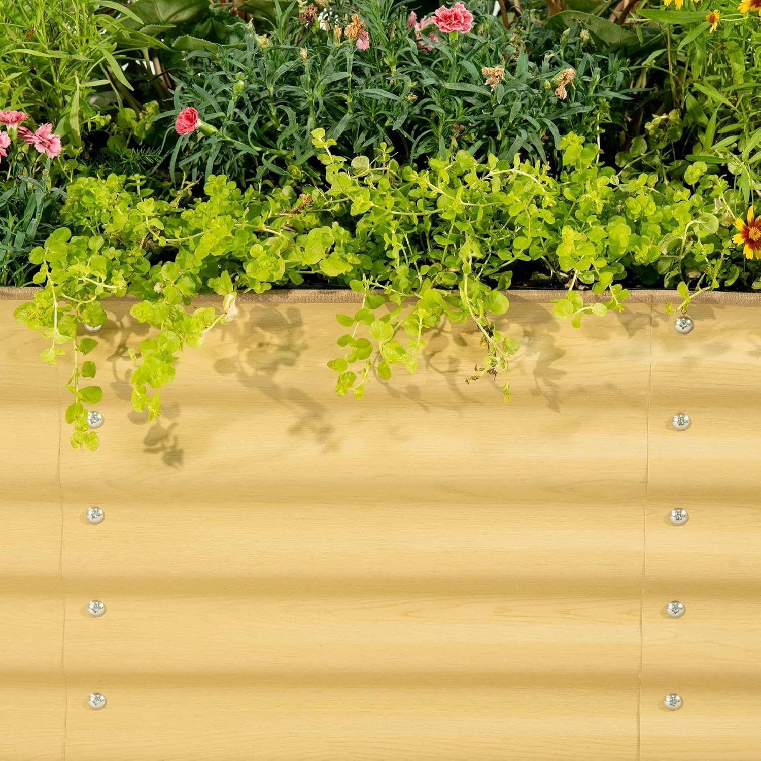 Vego Garden VB6N117SO Raised-Garden-Beds - View #3