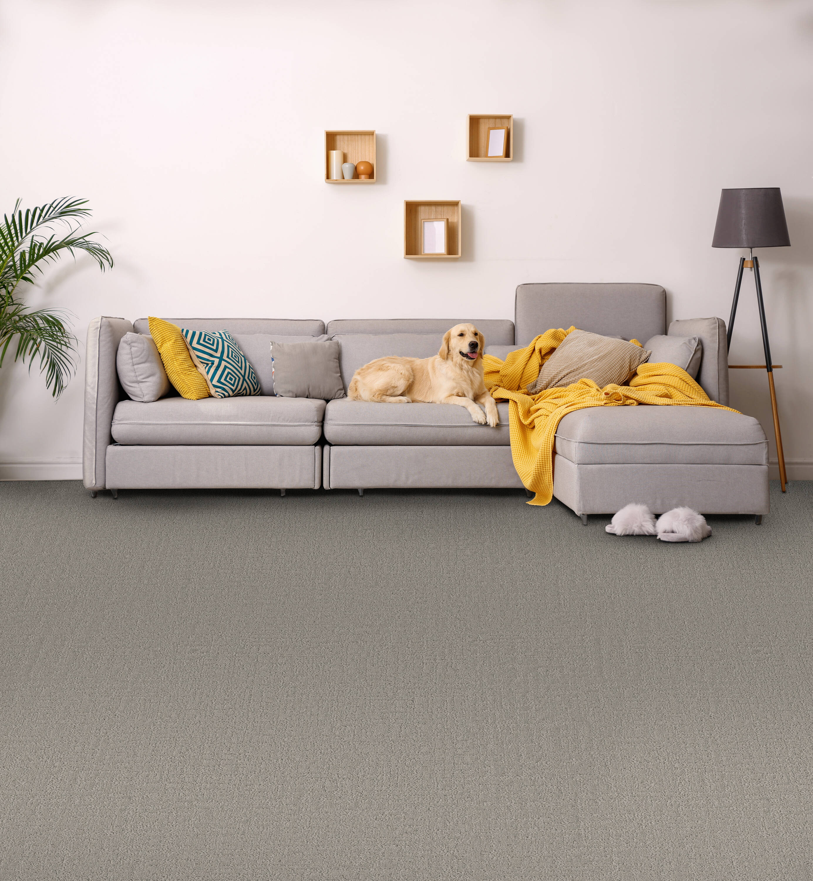 STAINMASTER PetProtect 7L85200502 Carpet-Panel - View #5