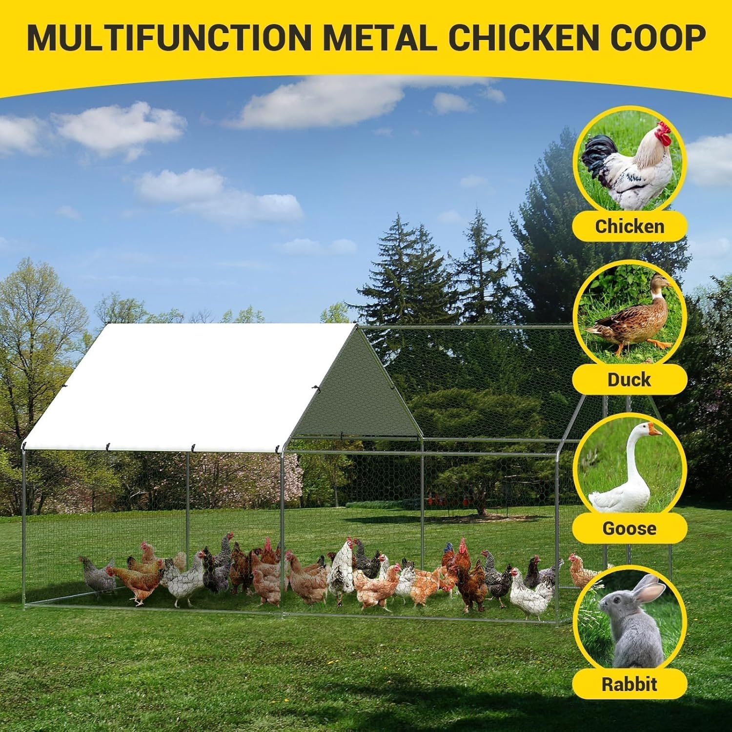 Qeetex GGL-PPG-3338T3KJ Chicken-Coops-Rabbit-Hutches - View #4