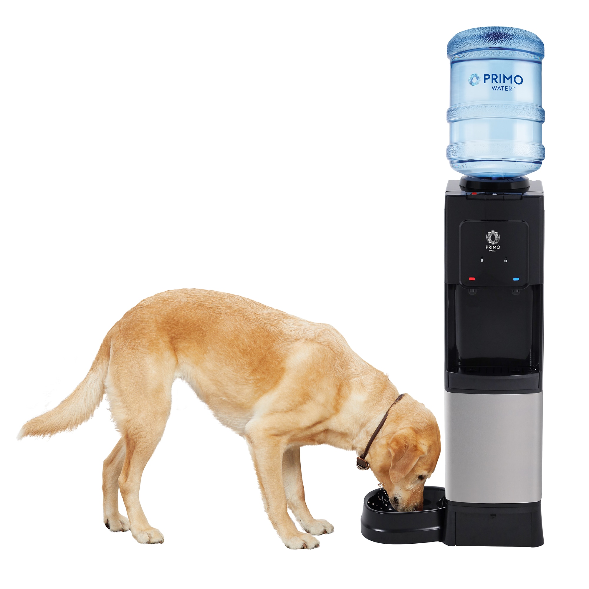 Primo 601335 Black Water cooler