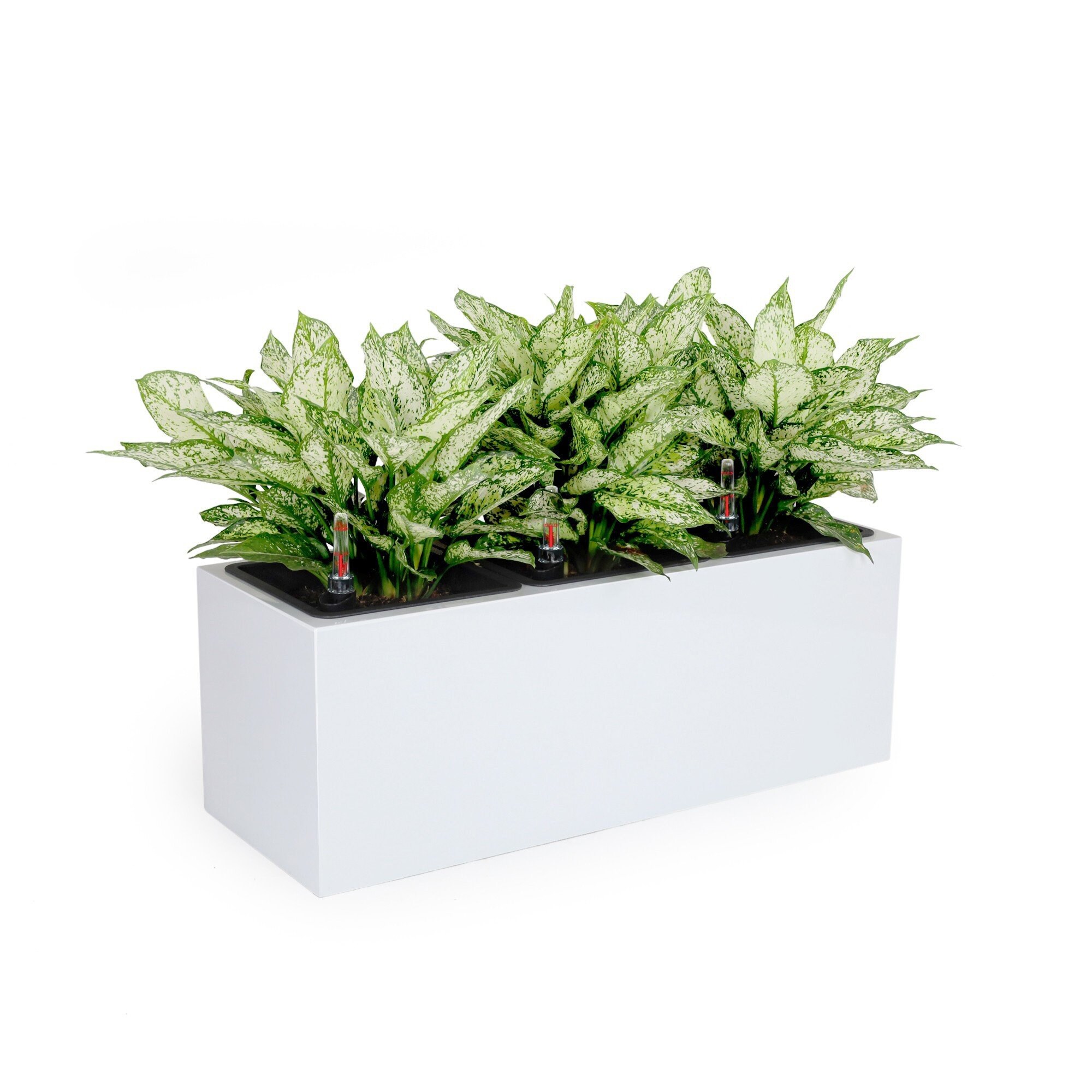 Kahomvis DTY-QPB0-676 Planter-Window-Box - View #4