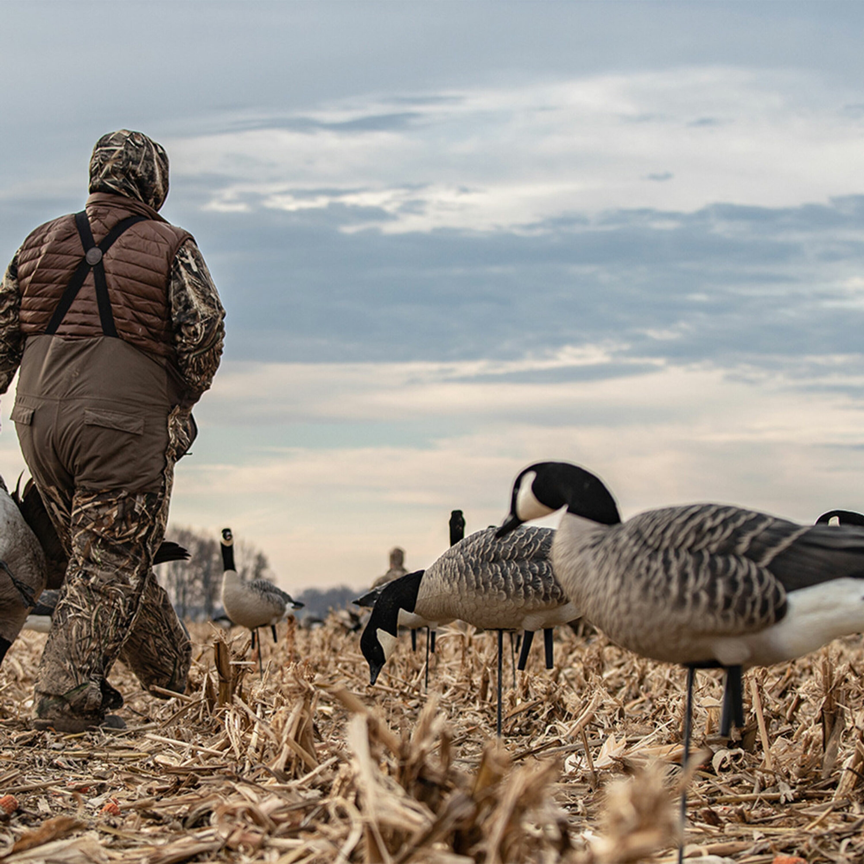  Avian X 408539 Hunting-Equipment - View #8