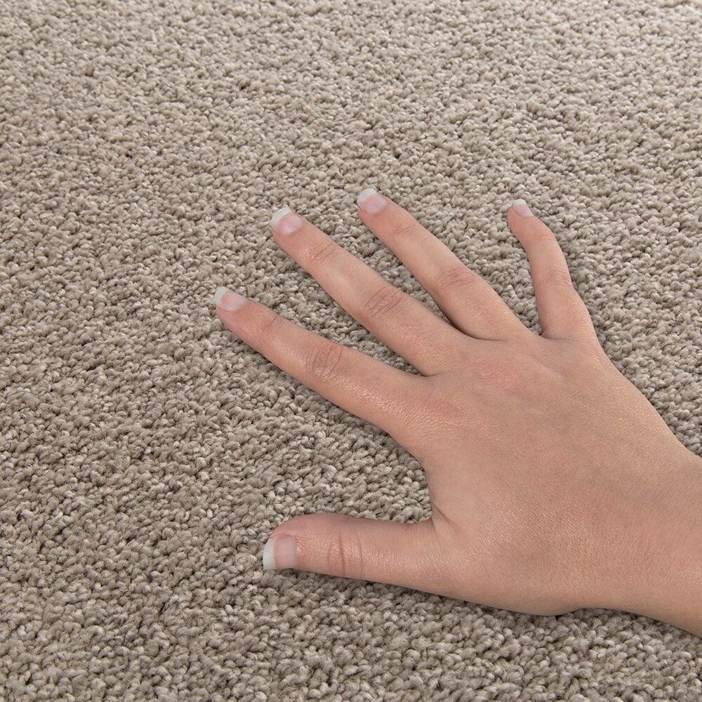 Style Selections SS015-L011-0808 Carpet-Samples - View #4