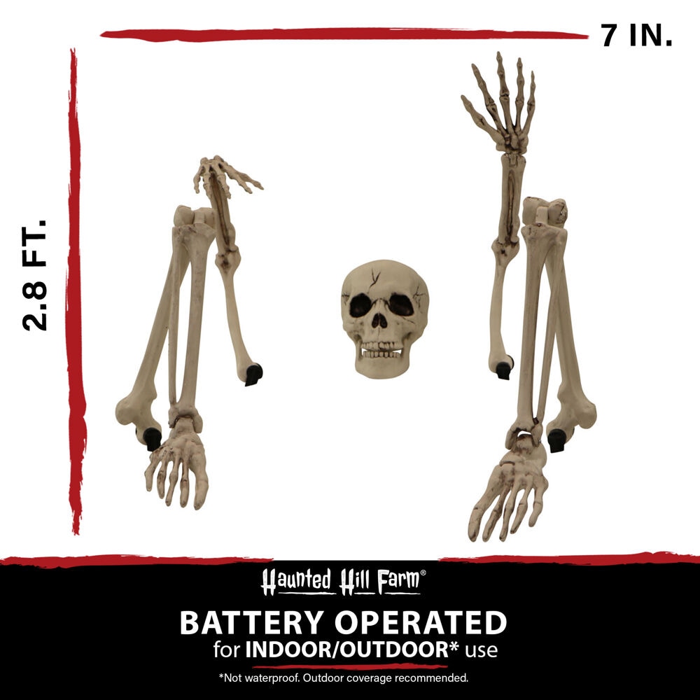 Haunted Hill Farm HHGBSKEL-1GB Outdoor-Halloween-Decor - View #5