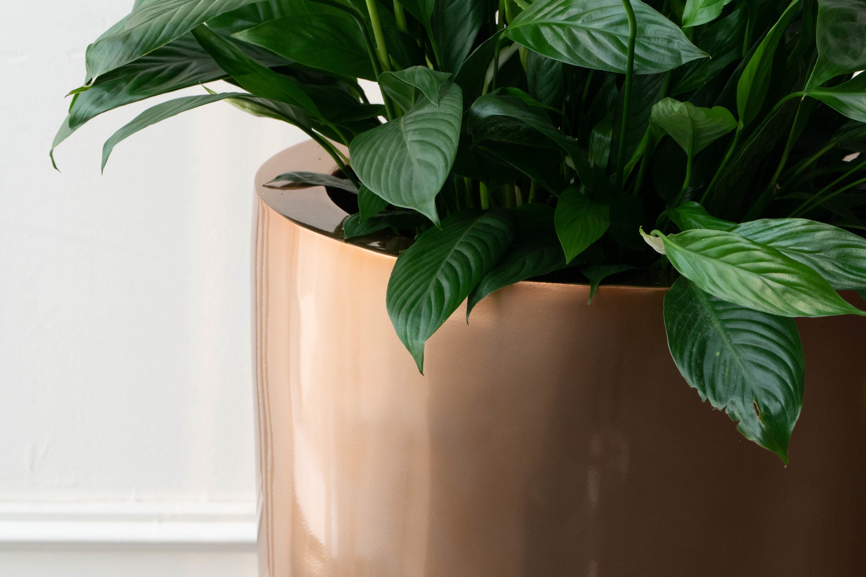 Vasesource CATENA40SCO Planter-Window-Box - View #4