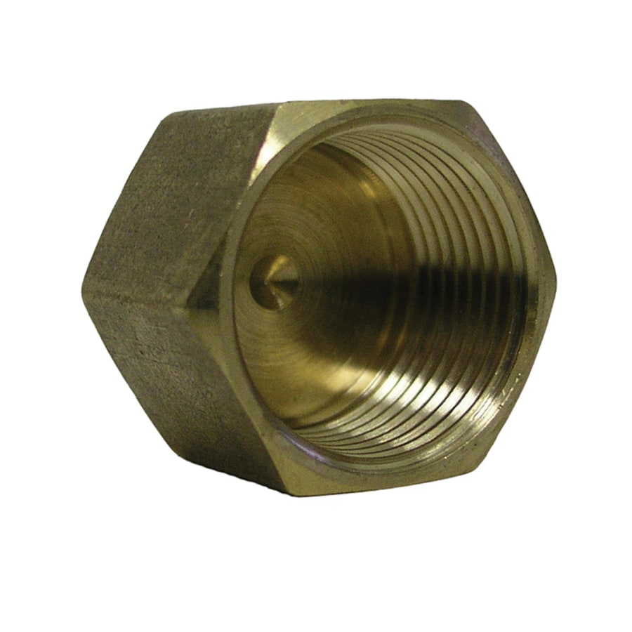 Watts LFA868 3/4-in Cap Brass Pipe Fitting