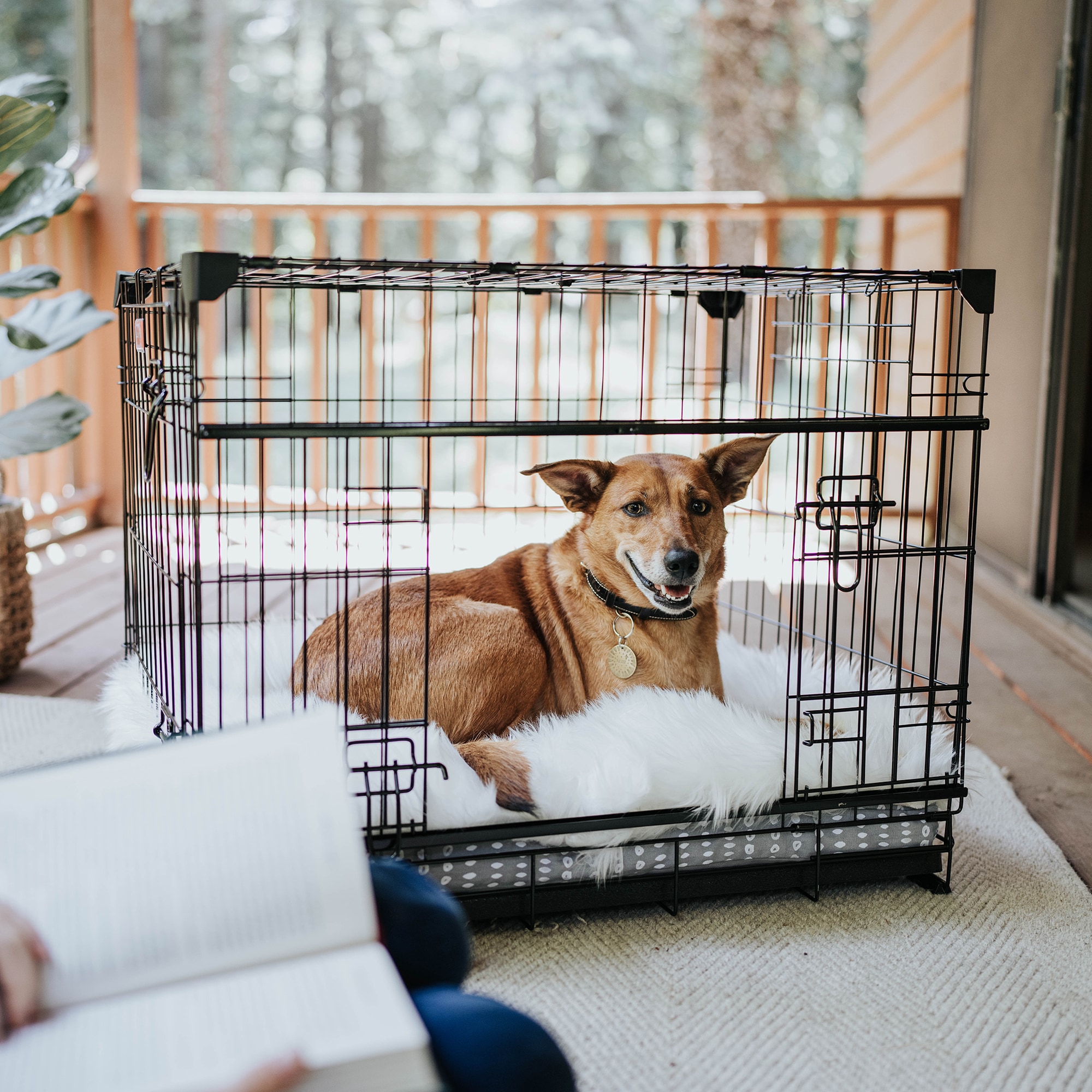 Lucky Dog ZW 51530 Pet-Crates-Carriers - View #10