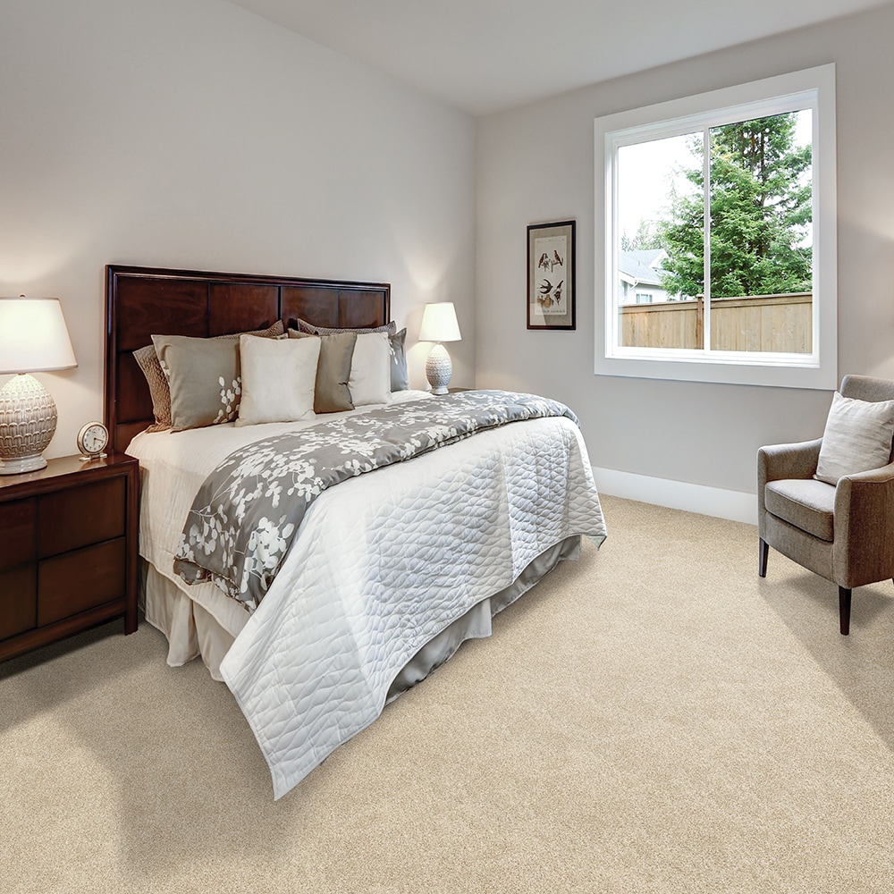 STAINMASTER SS040-L002-S0808 Carpet-Samples - View #2