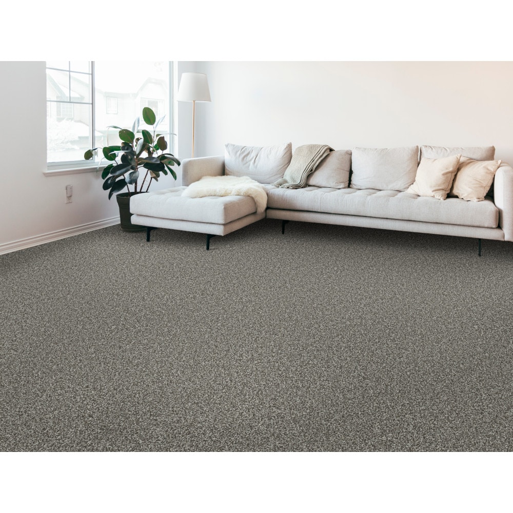 STAINMASTER PetProtect 7L928-537-SAMP Carpet-Samples - View #2