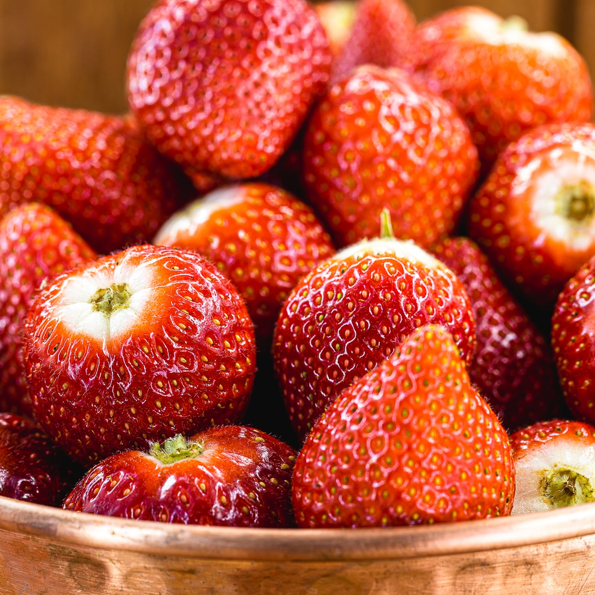 Van Zyverden 84859 20 -Pack Strawberry Plant in Bareroot Summer