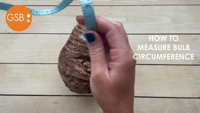 A thumbnail for the video