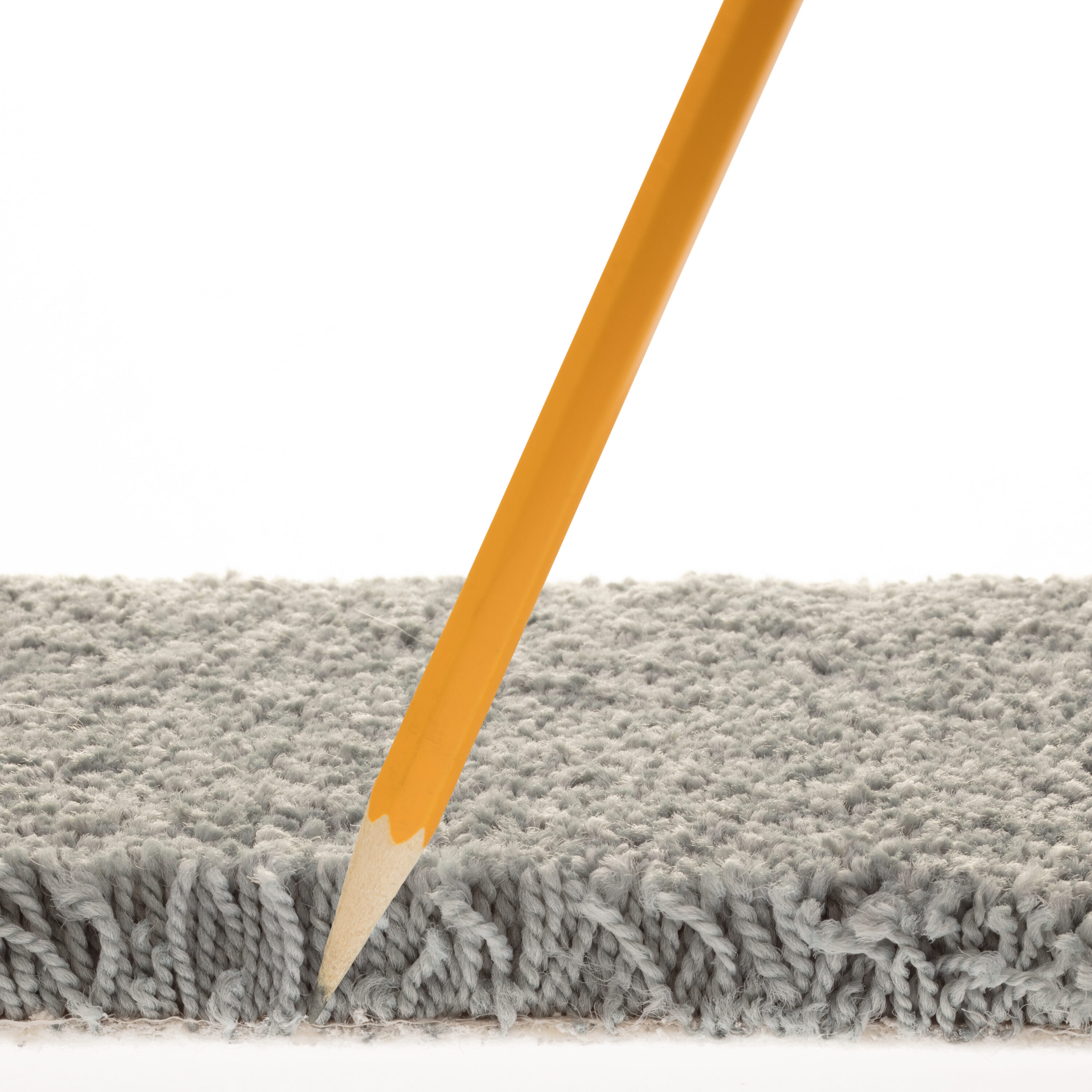 STAINMASTER PetProtect 7L881 - 400 - SAMP Carpet-Samples - View #7