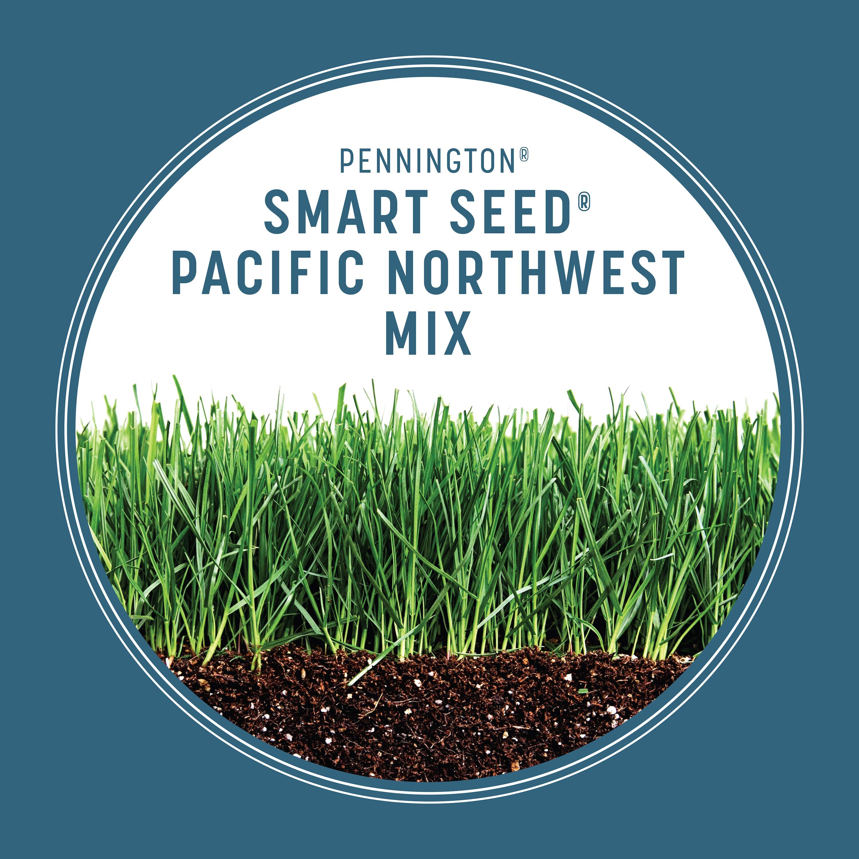 Pennington 100543713 Grass-Seed - View #3