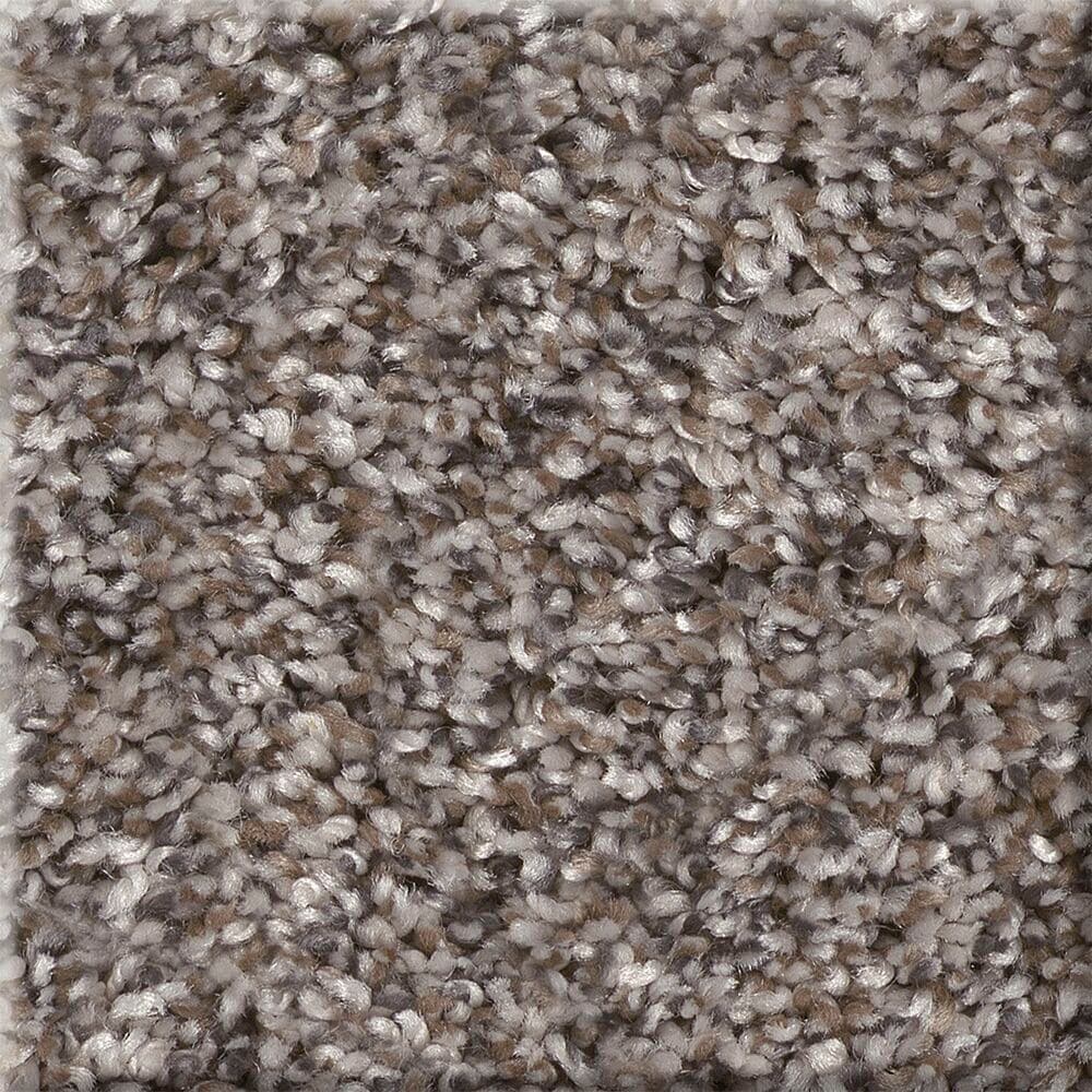STAINMASTER 7L89500500 Impassioned I 12-FT Alaskan Air Gray 58.5-oz sq yard Polyester Textured Indoor Carpet