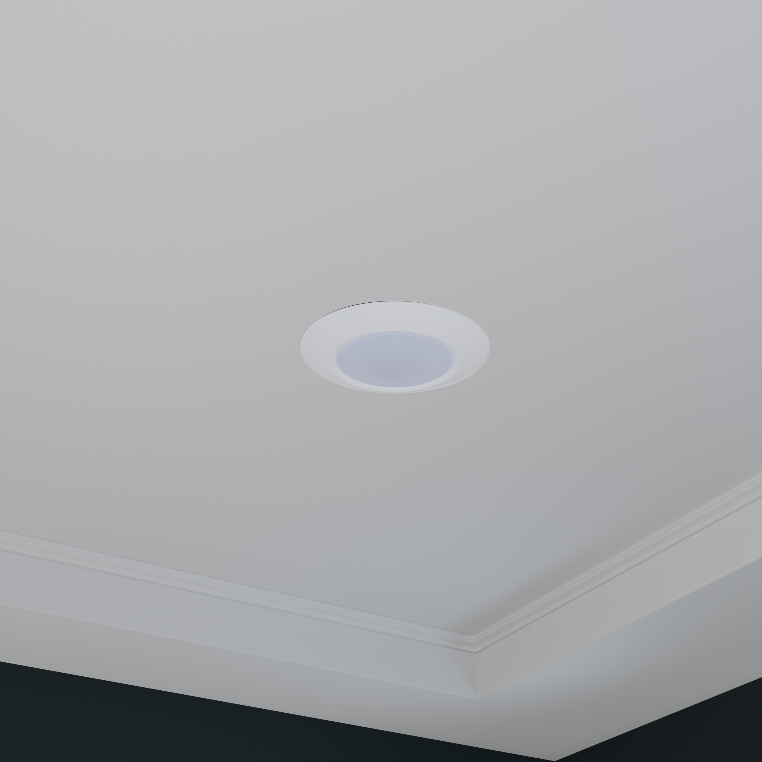 White Frosted Glass LED Flush Mount Ceiling Light