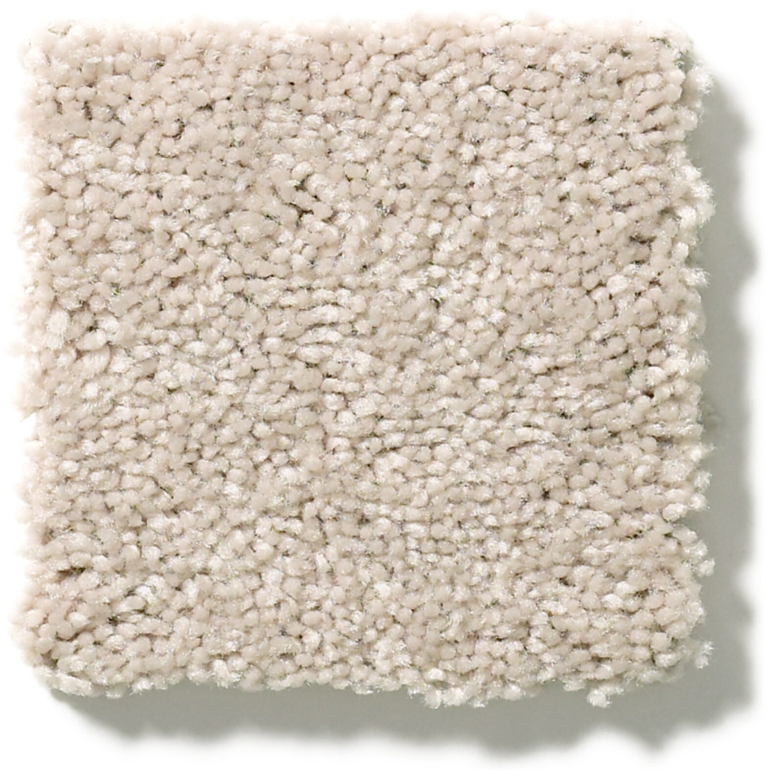 Style Selections 7L921-122-SAMP Carpet-Samples - View #2