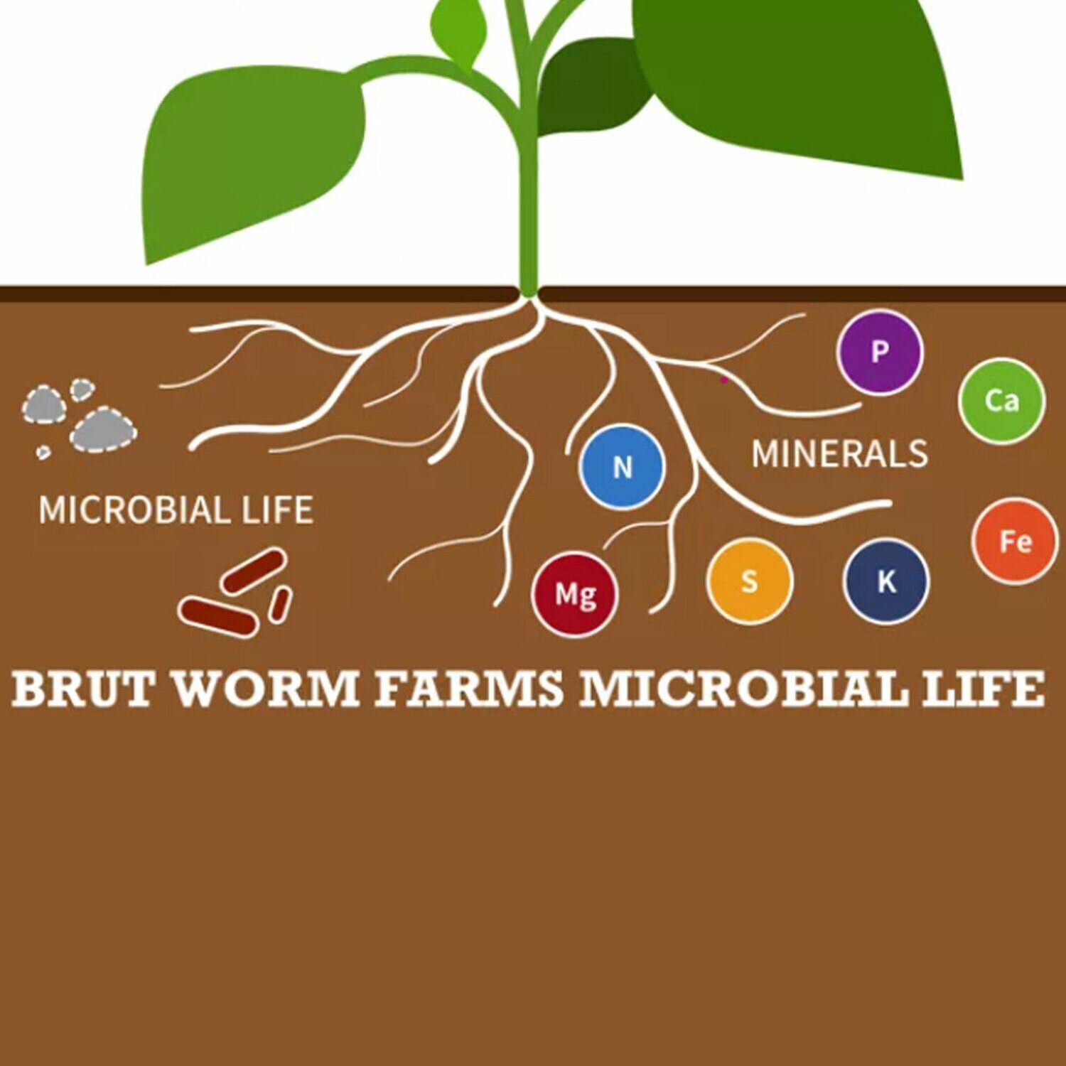 Brut Worm Farms 253099 Garden-Soil-Soil-Amendments - View #5