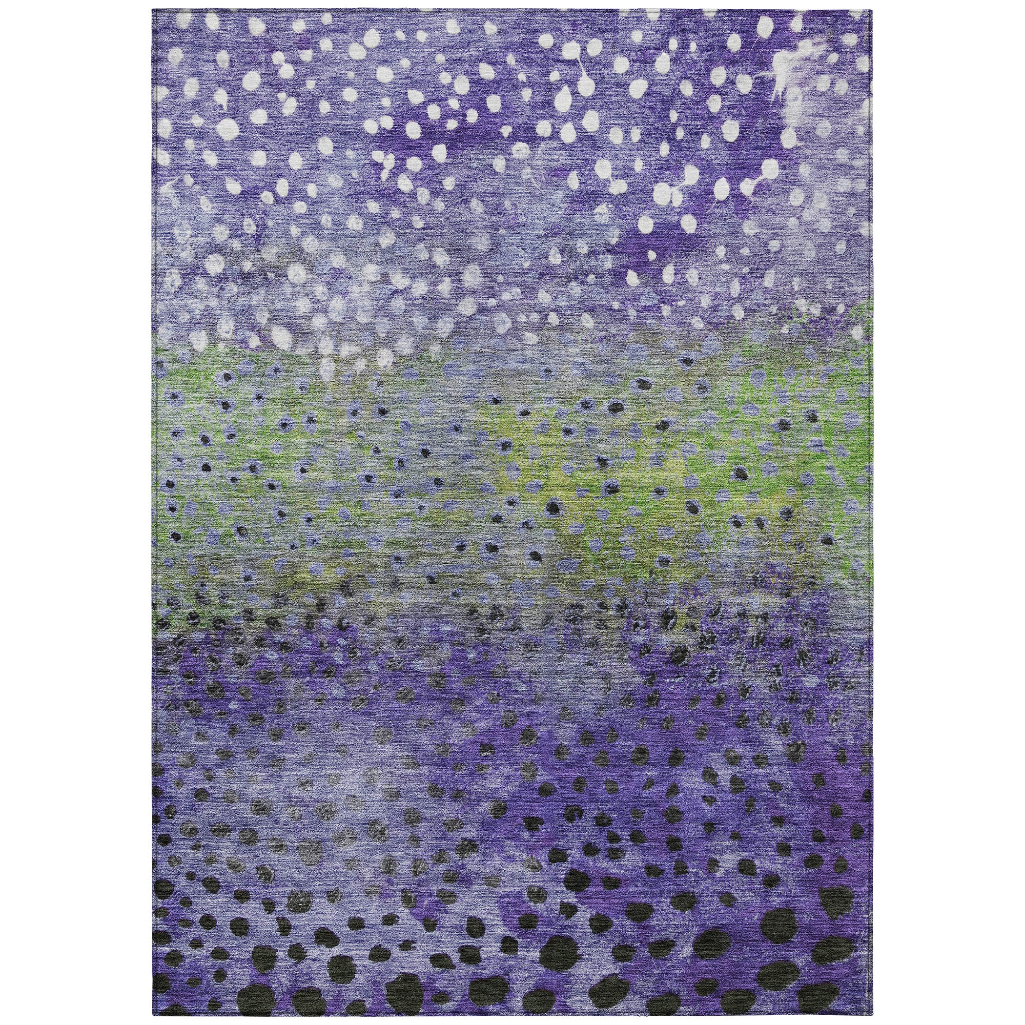 Addison Rugs ACN1074PP30X46 rugs - View #2