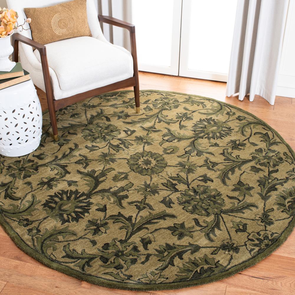 Safavieh AT824A-6R rugs - View #2