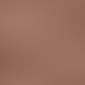 Light Brown without Light