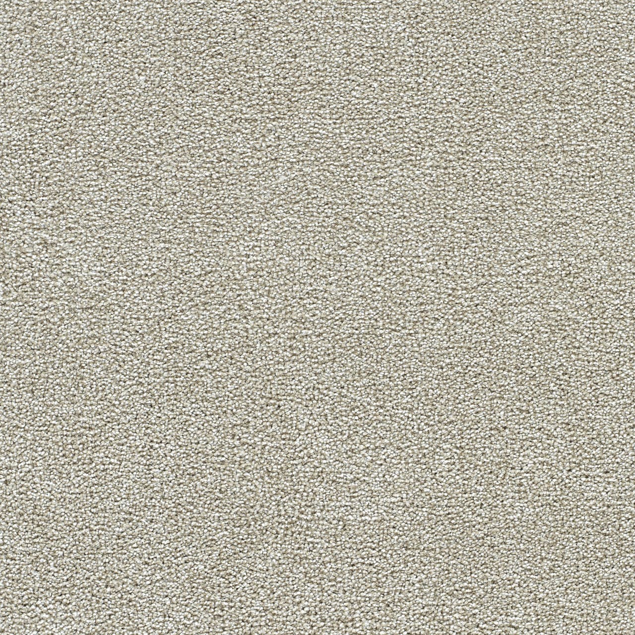 STAINMASTER L5015-1503-1200-AB Over The Moon I Thrilled Tan 40-oz sq yard Solution-dyed polyester Textured Indoor Carpet