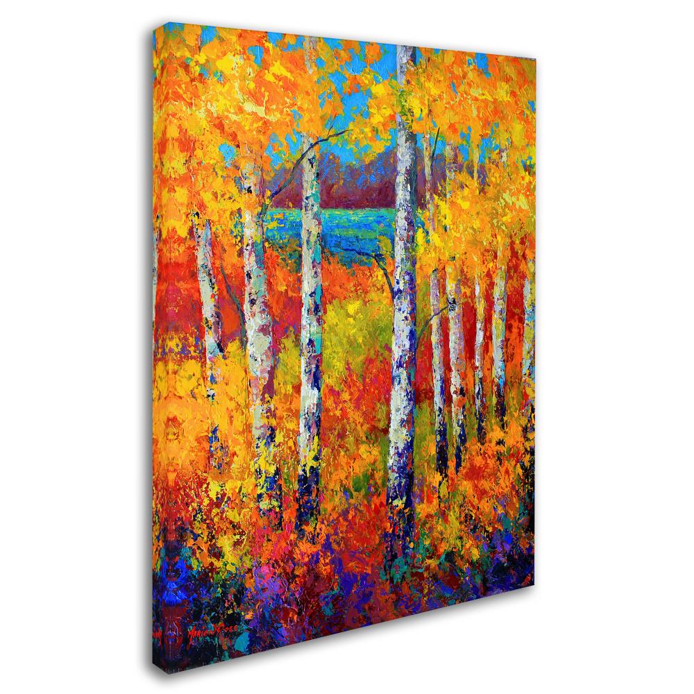 Trademark Fine Art ALI15320-C1419GG Wall-Art - View #2
