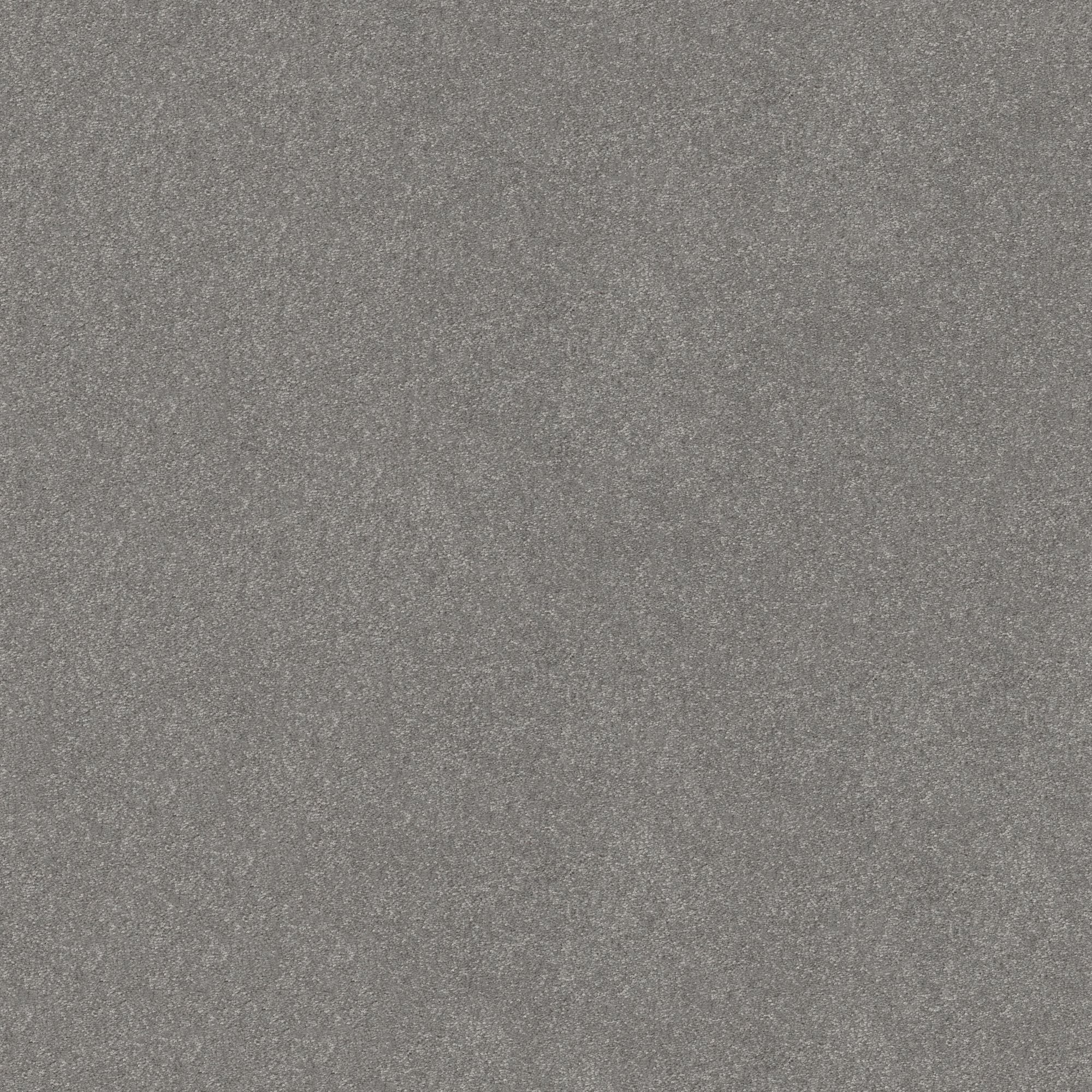 STAINMASTER Best Intentions III 12- Ft Vintage Gray 68.3-oz sq yard ...