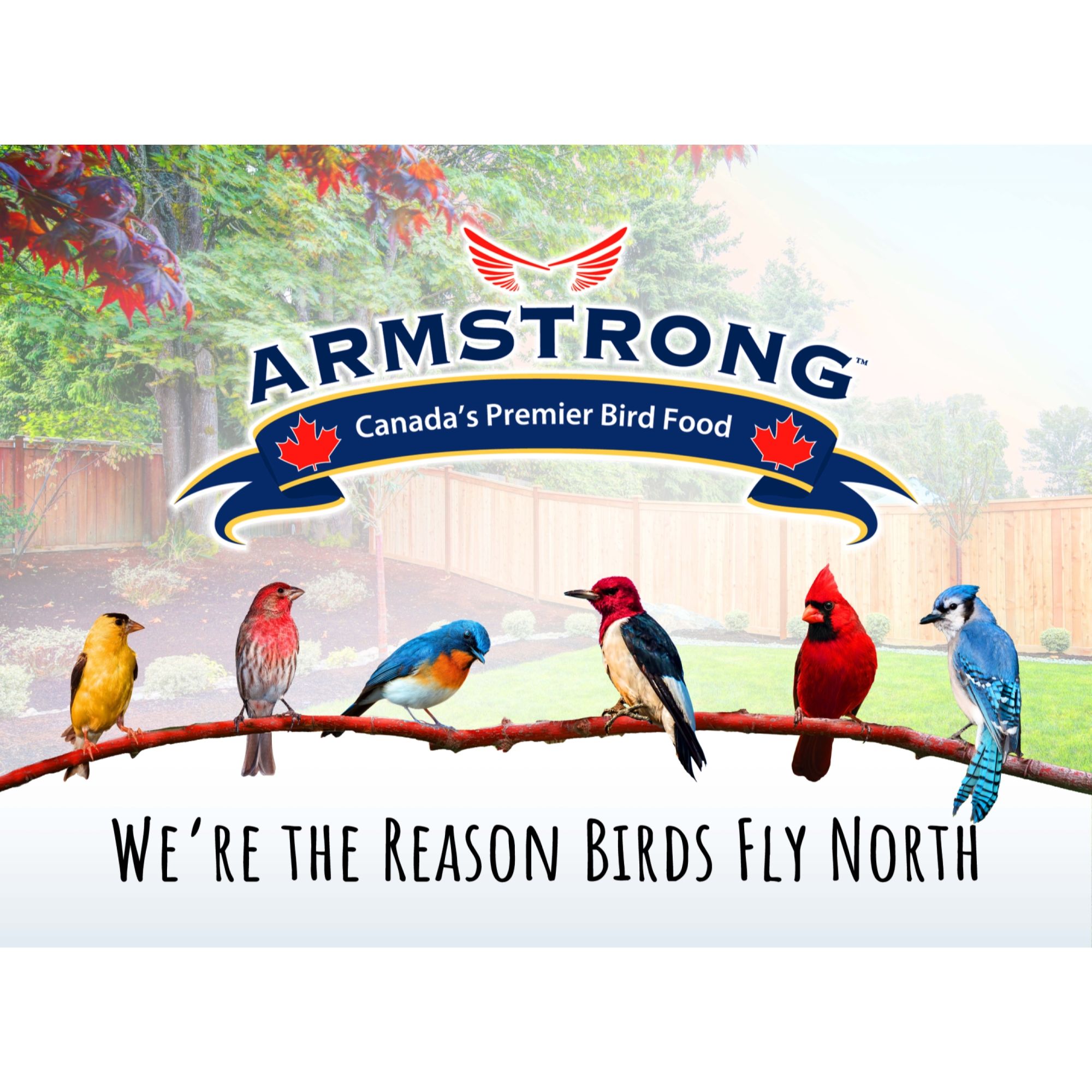 ARMSTRONG 300-913AR Bird-Squirrel-Food - View #6