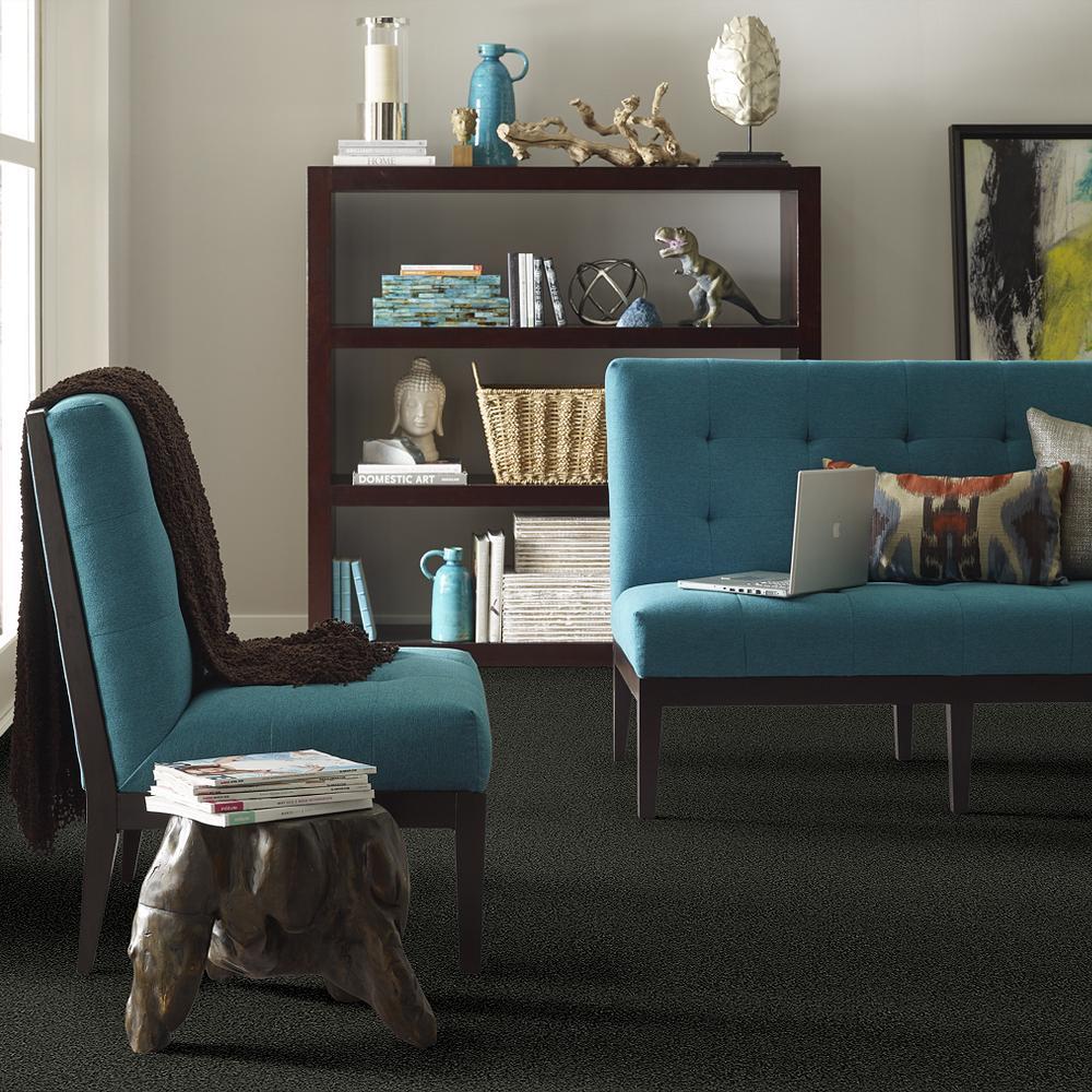 STAINMASTER 7L71700319 Carpet-Panel - View #4