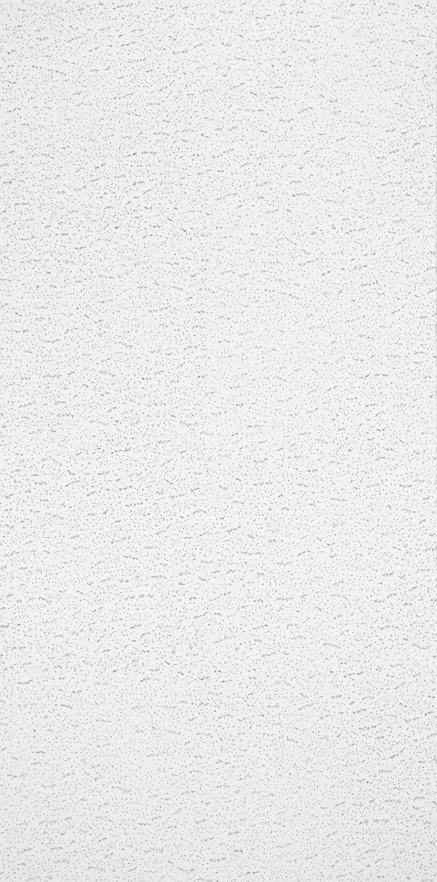 Armstrong Ceilings 48-in x 24-in Textured Contractor 10-Pack White
