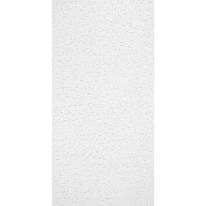 Drop Acoustic Panel Ceiling Tiles, White Ceiling Tile