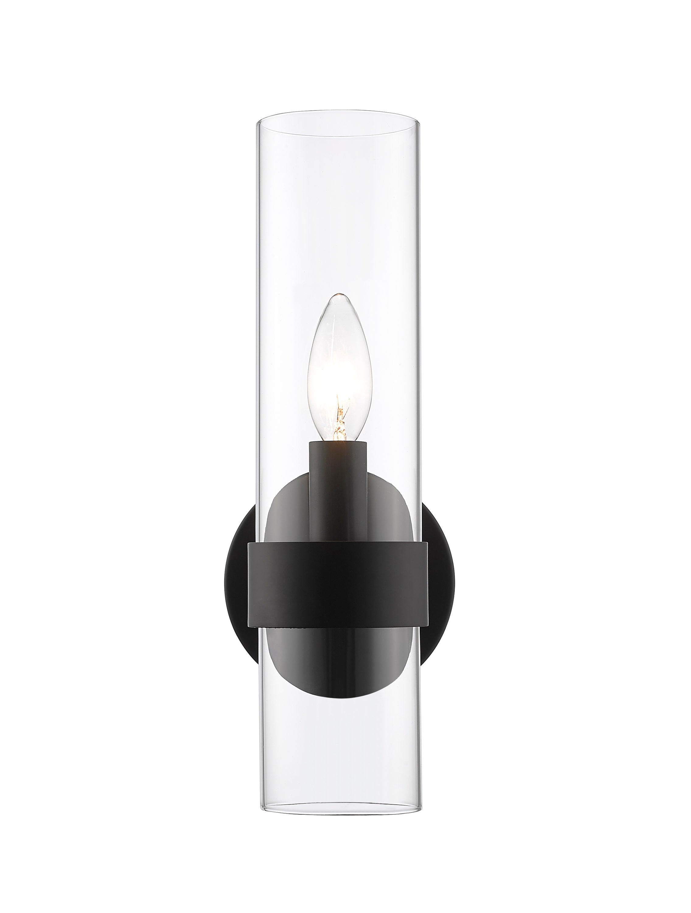 Matte Black Dimmable Steel Wall Sconce with Glass Shade