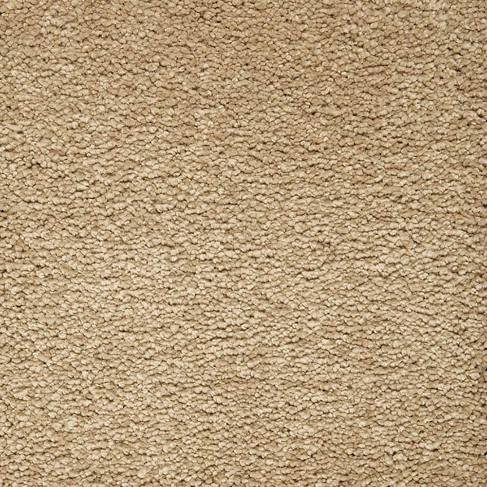 STAINMASTER PetProtect STP54-L017-0808 (Sample) Beau Dacious Cobble Path Brown 48-oz sq yard Triexta Textured Indoor Carpet