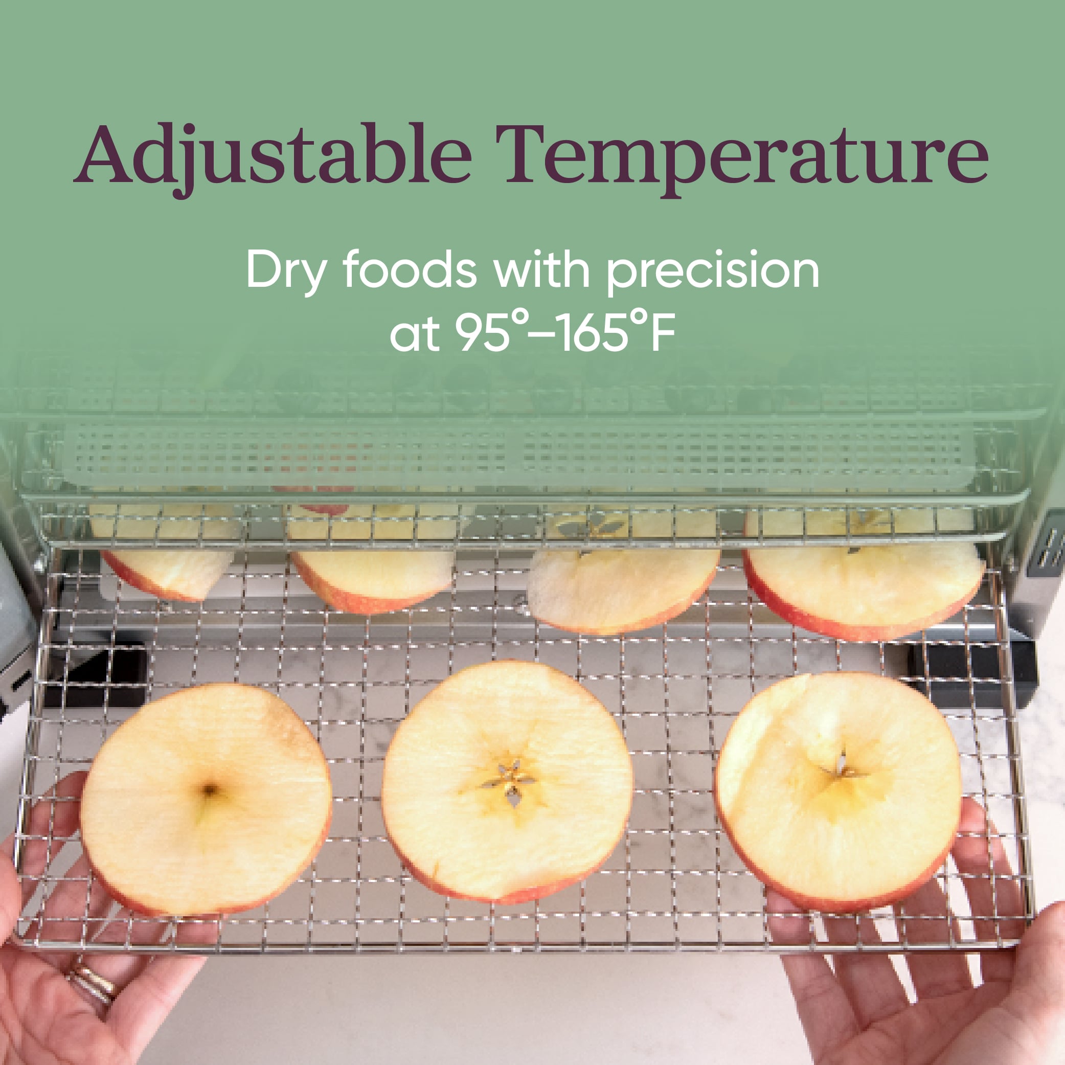 Cosori KAAPFDCSNUS0003 dehydrators - View #6