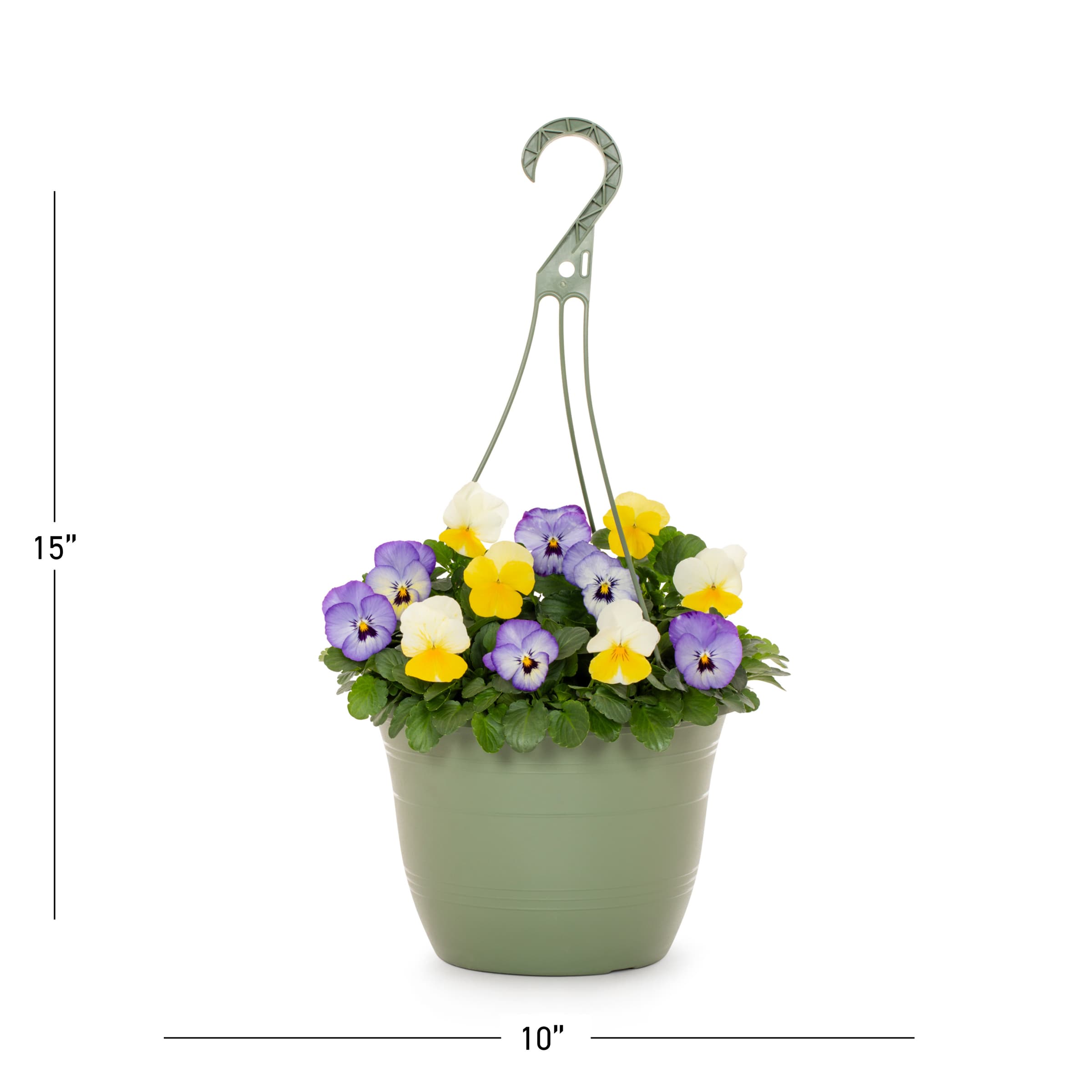 Lowe's 219131 annuals - View #3