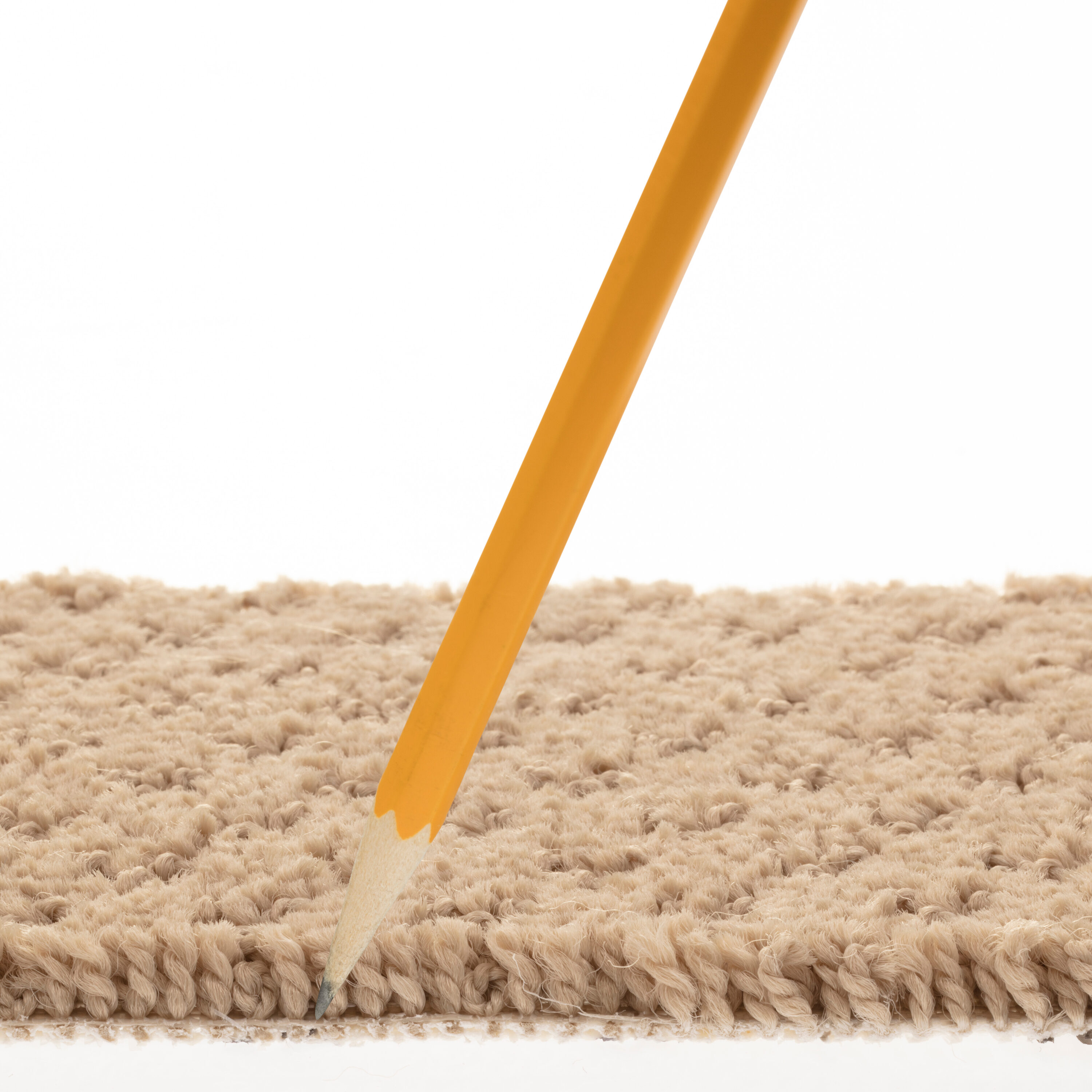 STAINMASTER PetProtect 7L899 - 154 - SAMP Carpet-Samples - View #7