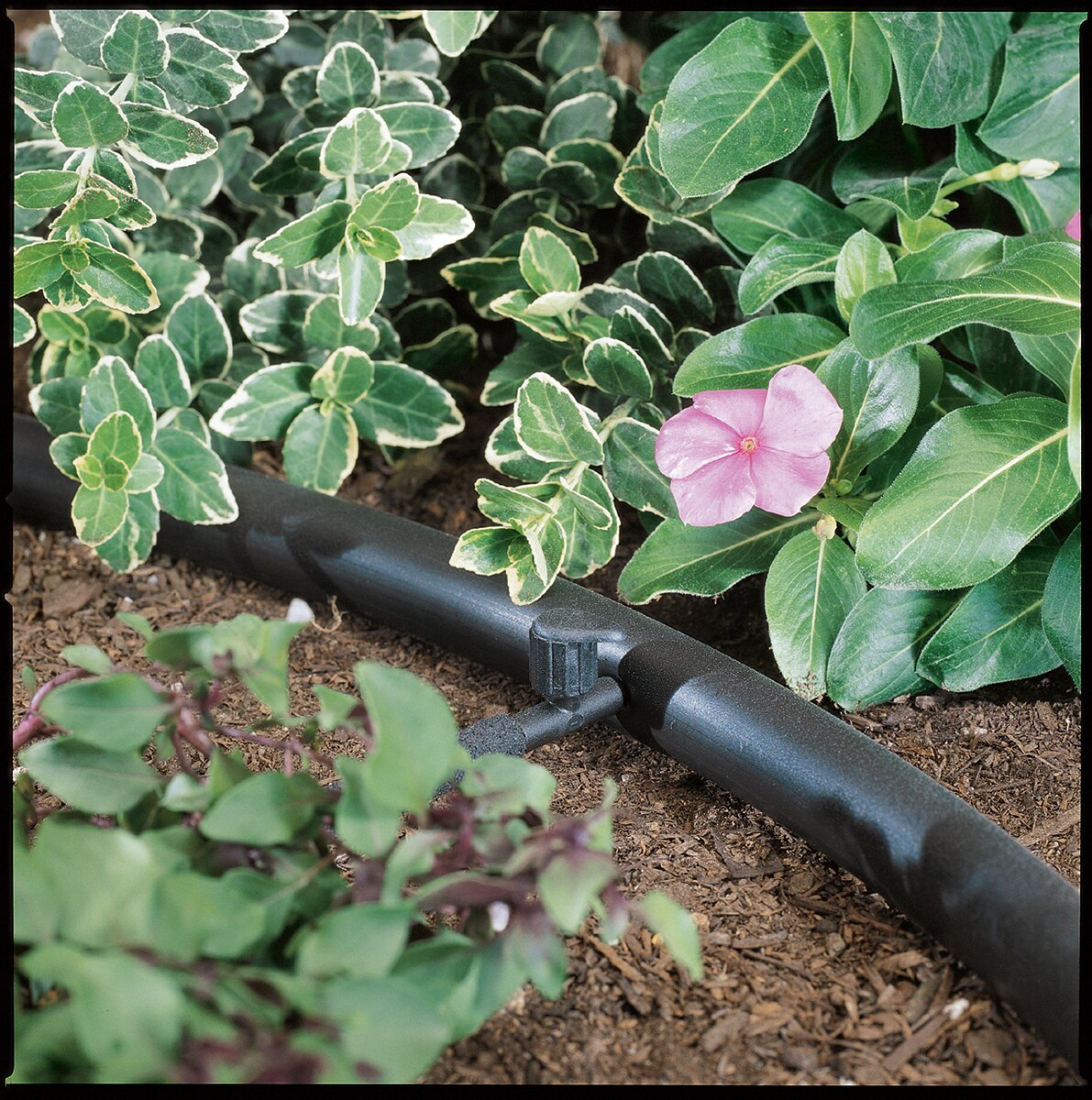 Orbit 67404 Drip-Irrigation-Fittings - View #3